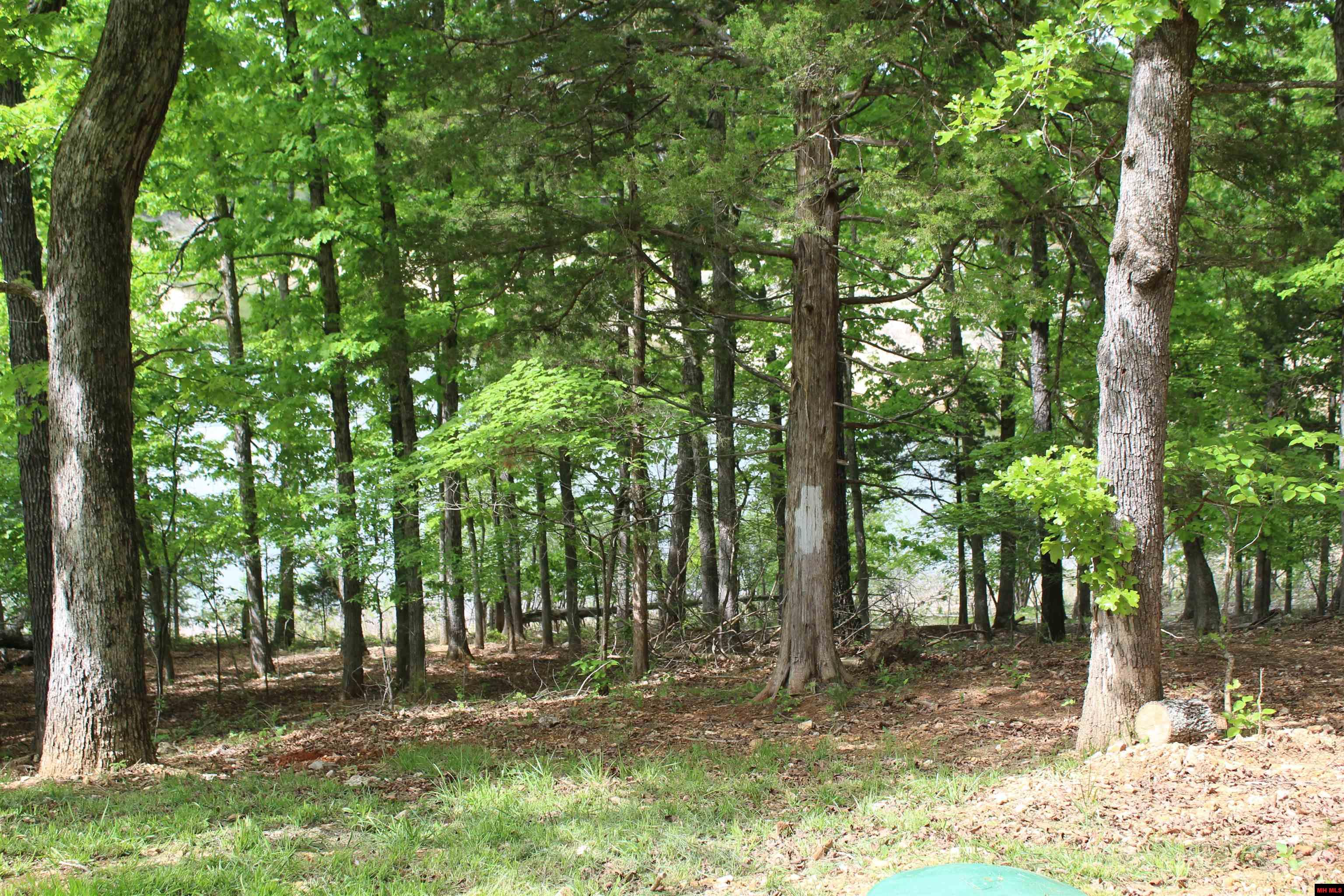 170 Blue Lake Drive