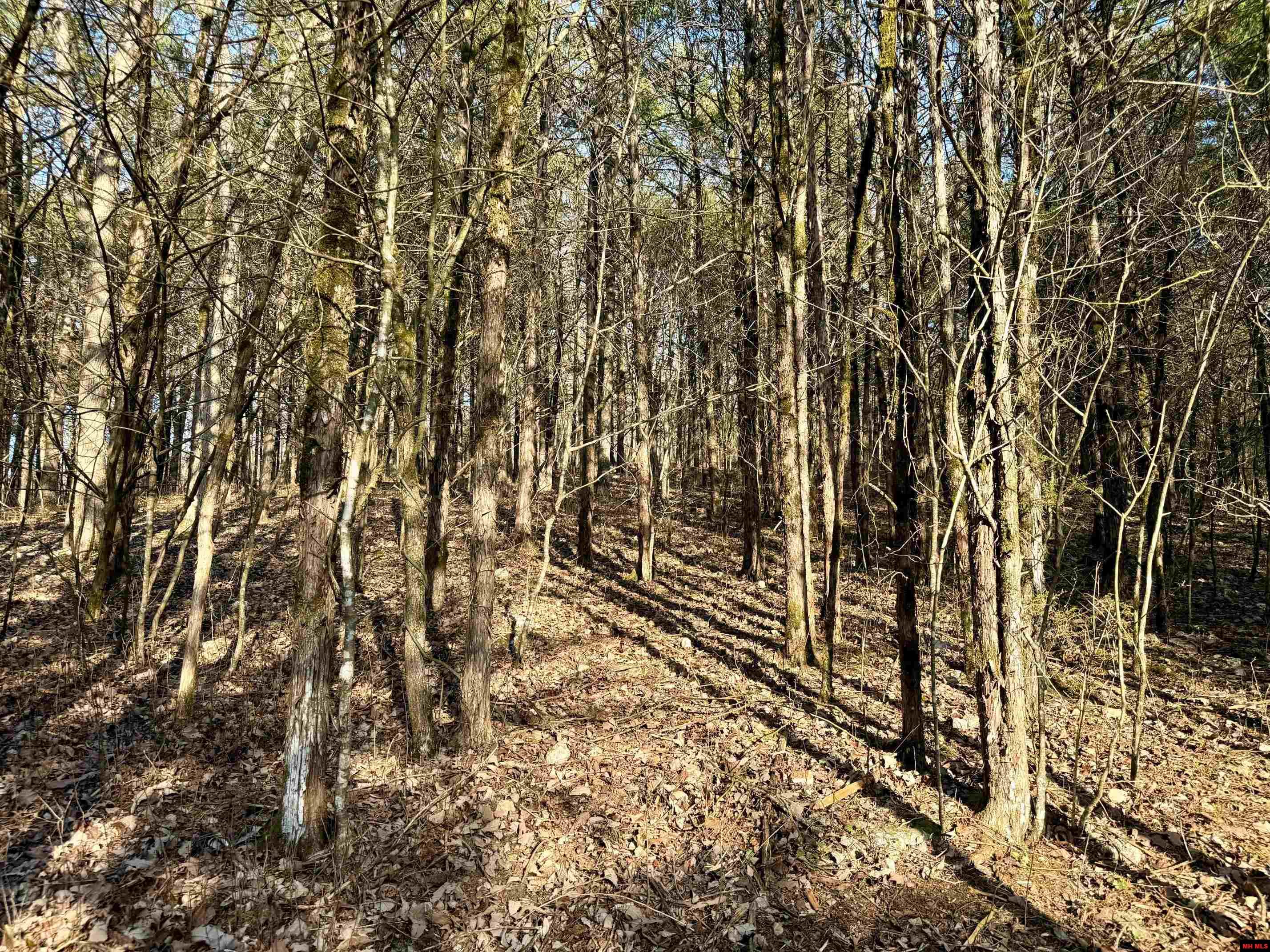 004-00632-000 Hwy 345