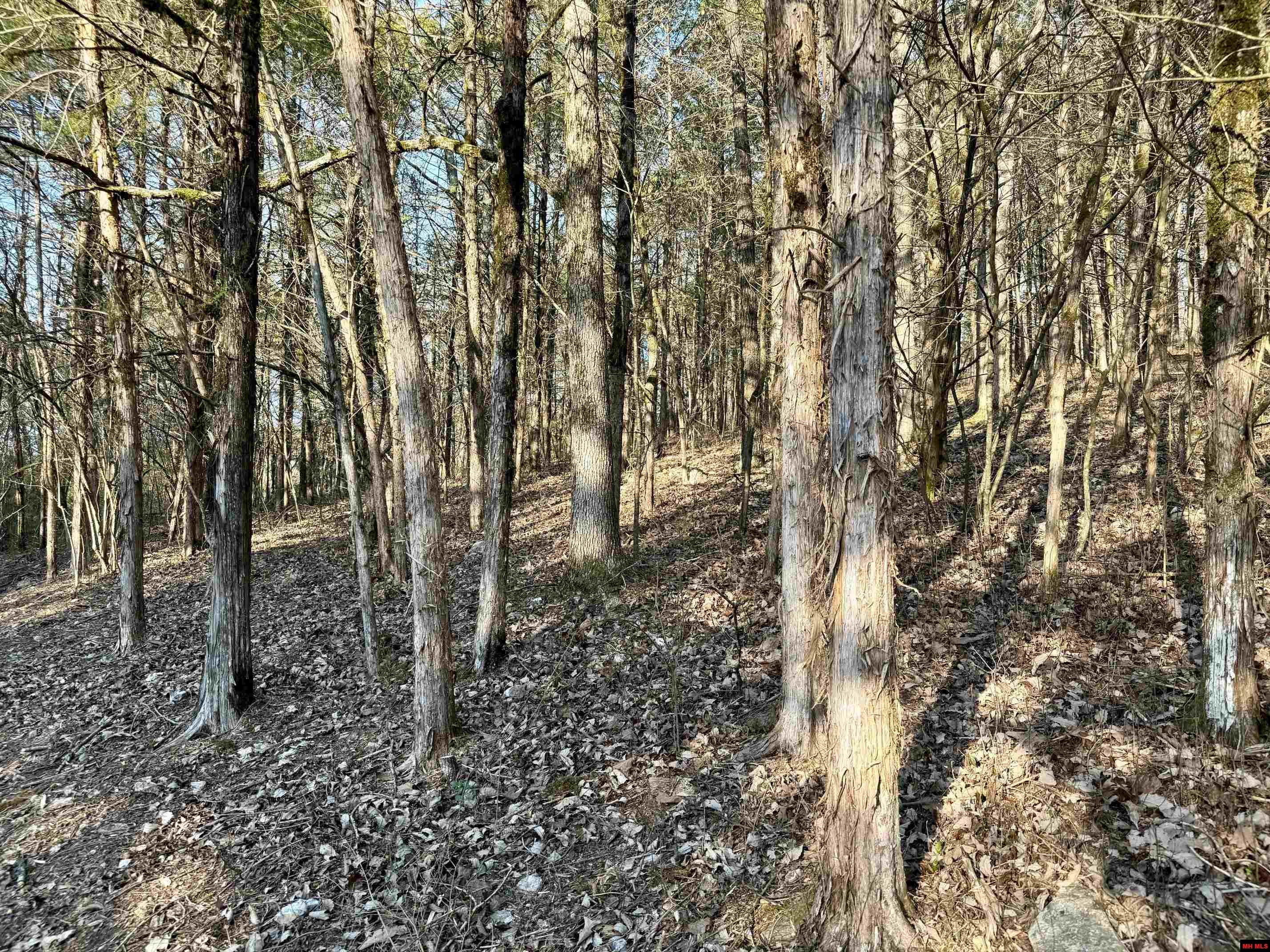 004-00632-000 Hwy 345