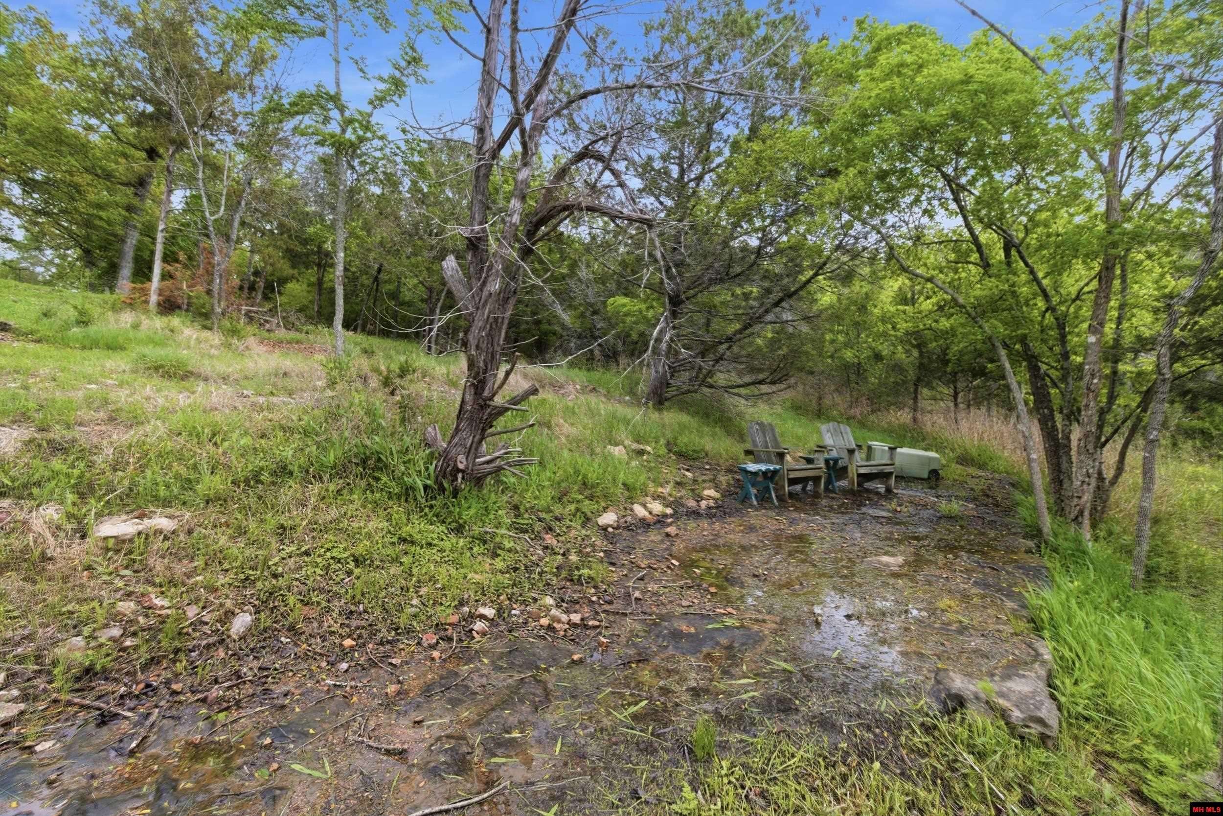 173 LILY LANE Peel, AR 72668