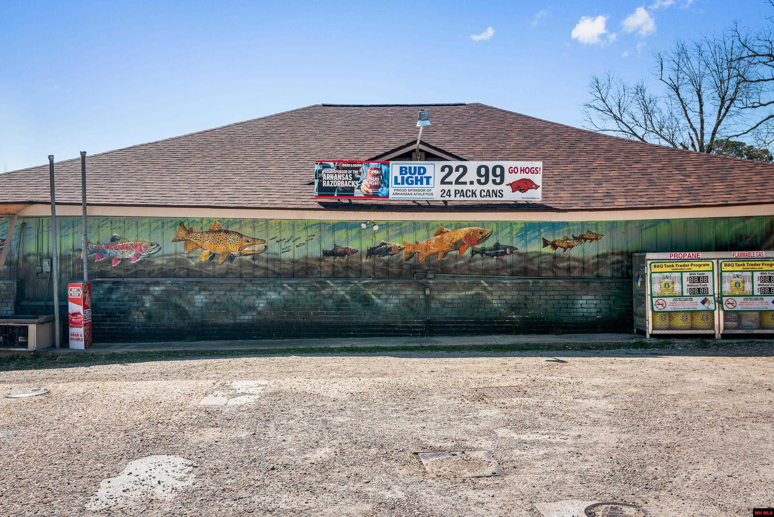 10842 HWY 5 SOUTH Salesville, AR