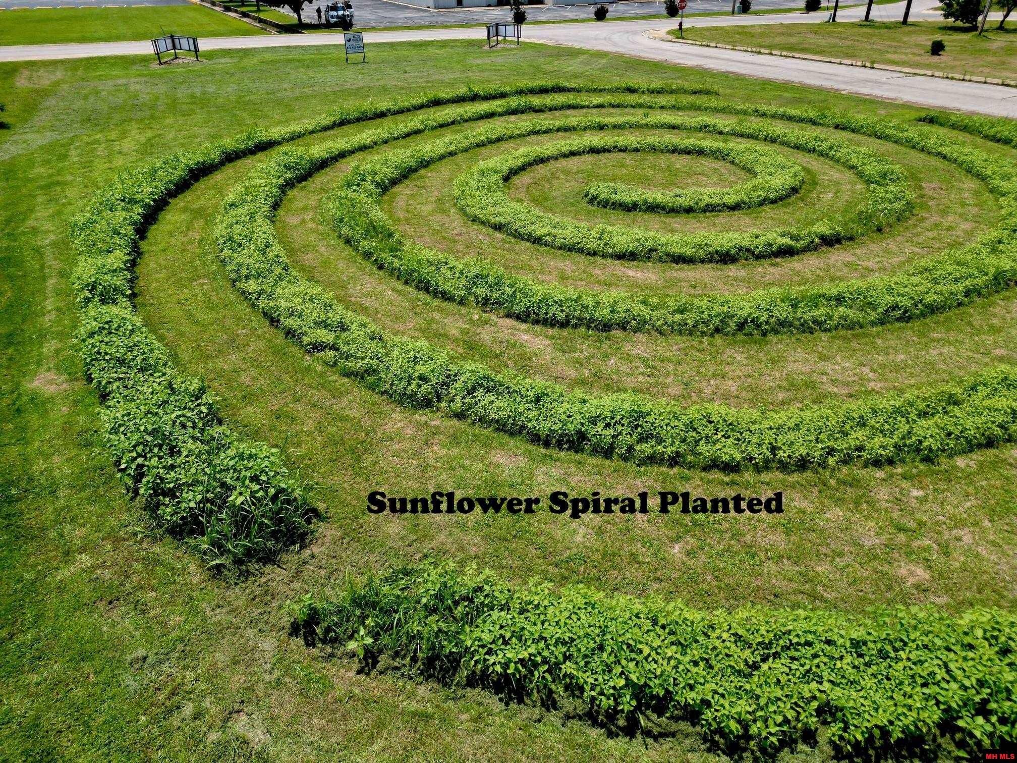 007-14367-000 W PAUL AVENUE Mountain Home, AR