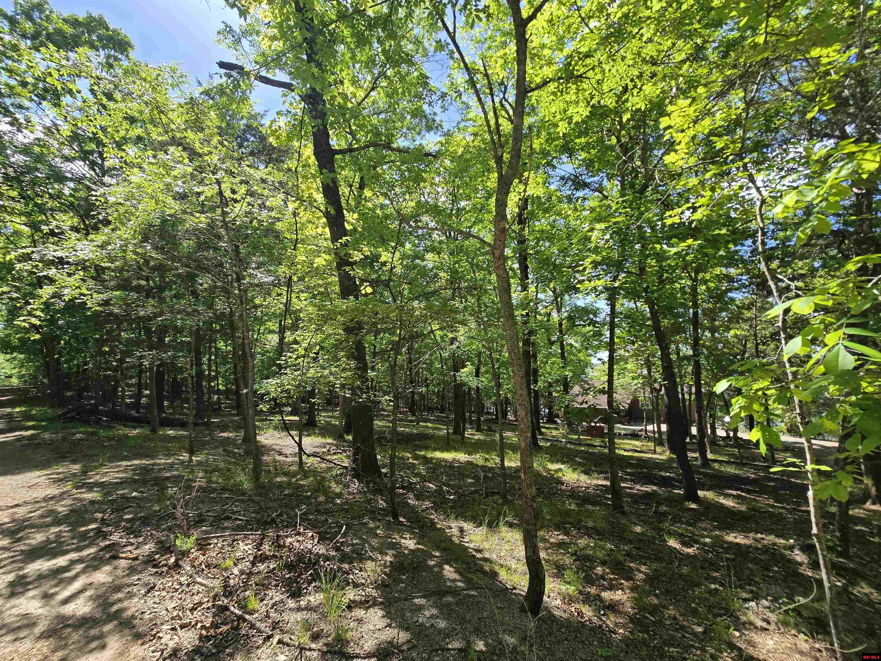 1535 MC 142 Oakland, AR 72661