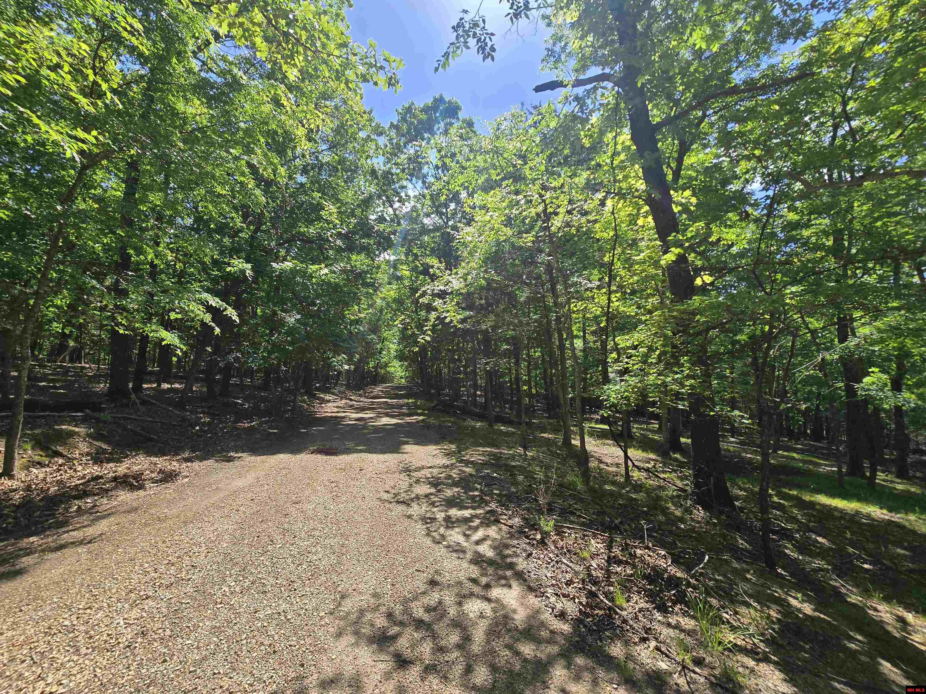 1535 MC 142 Oakland, AR 72661