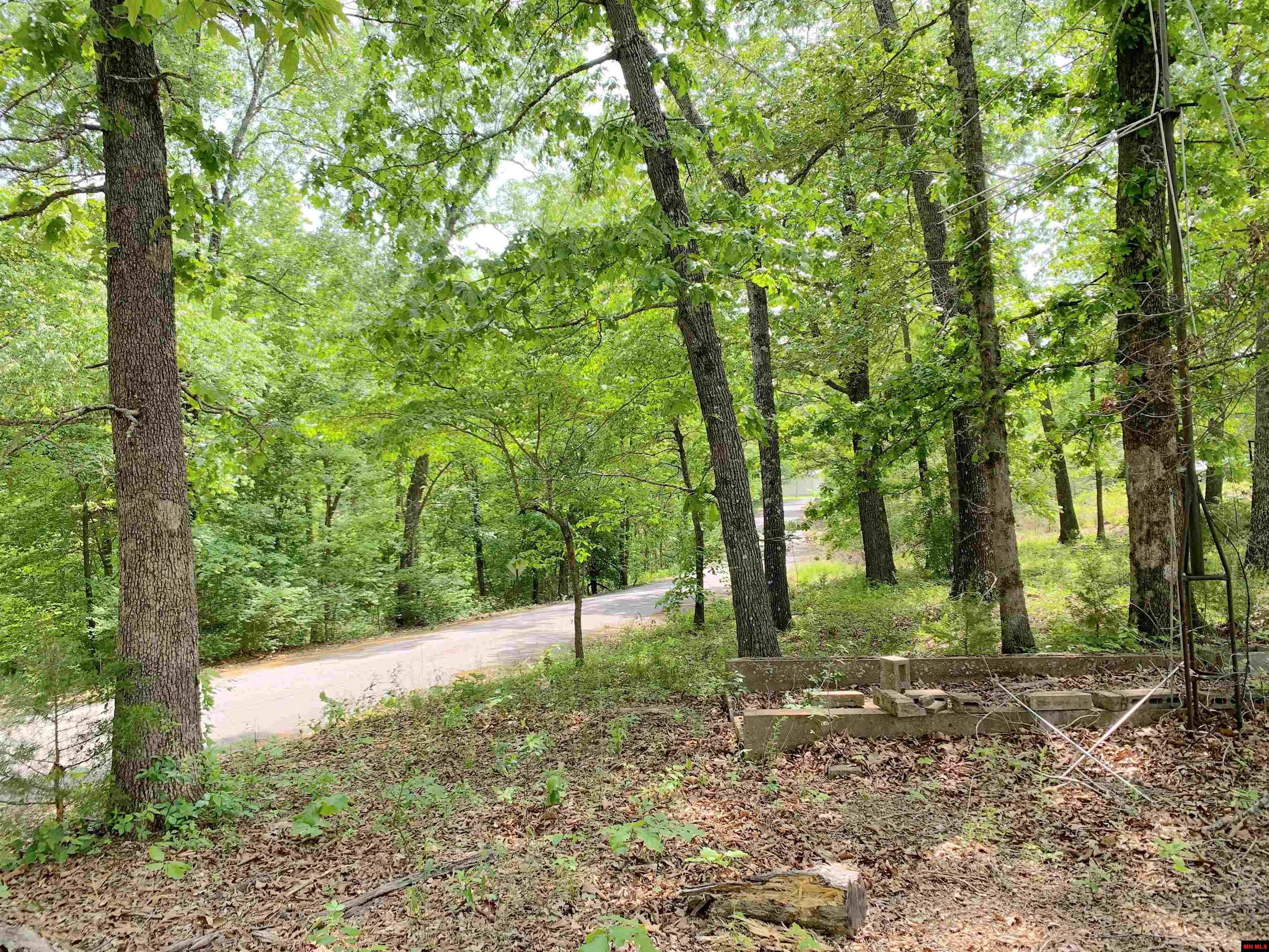 2229 CENTRAL BOULEVARD Bull Shoals, AR 72619