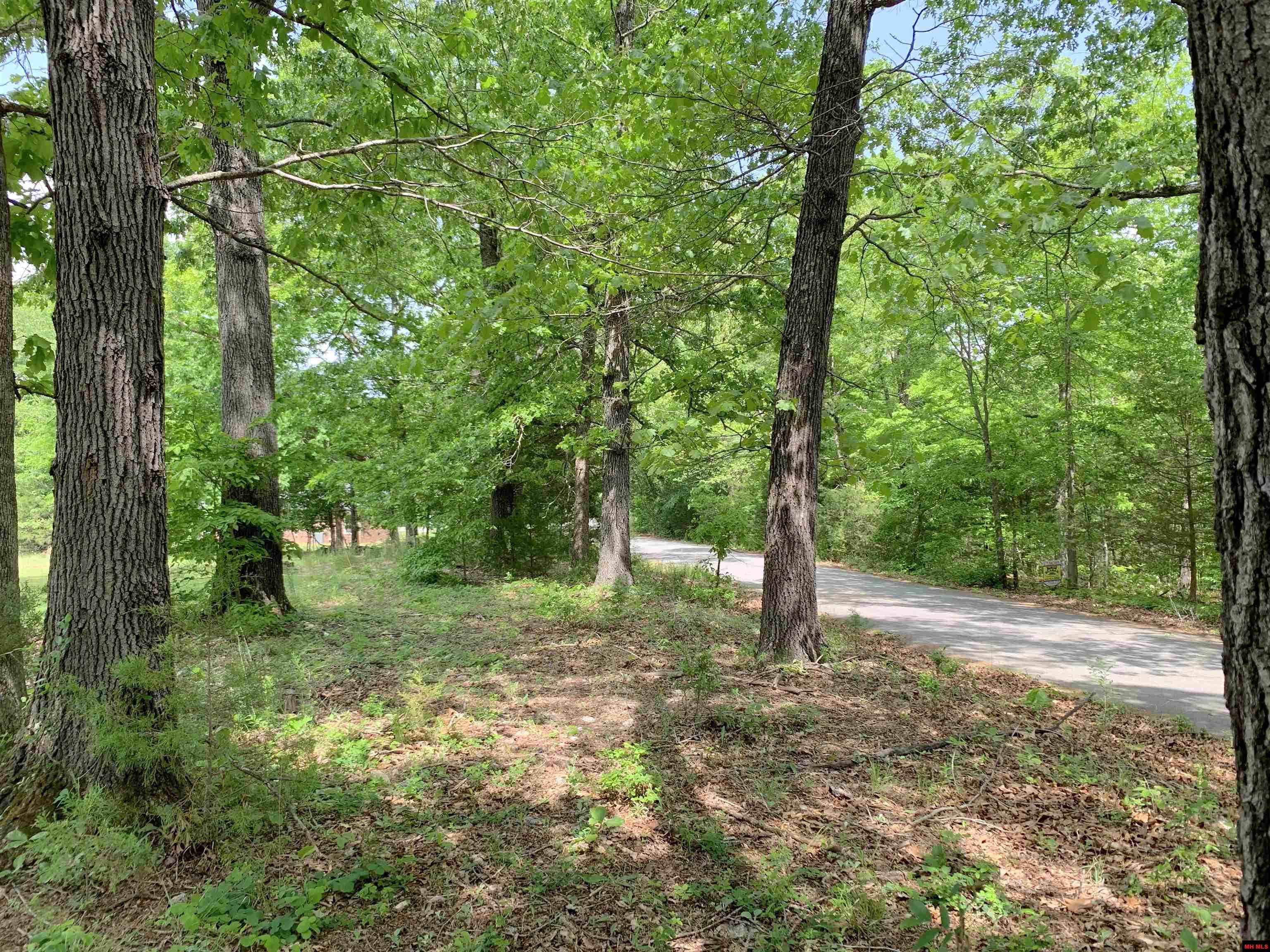 2229 CENTRAL BOULEVARD Bull Shoals, AR 72619