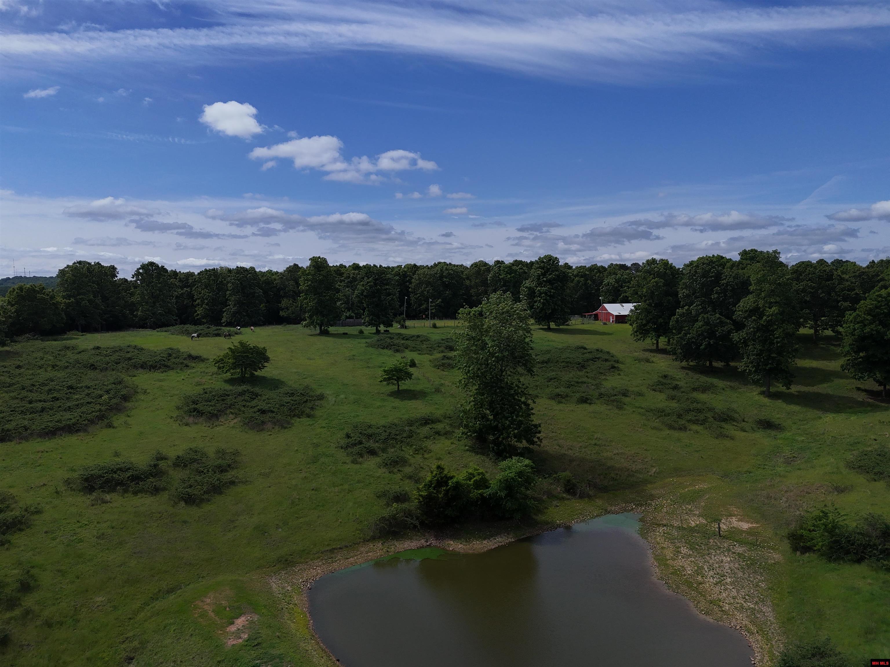1321 WEBBER ROAD Mountain Home, AR 72653