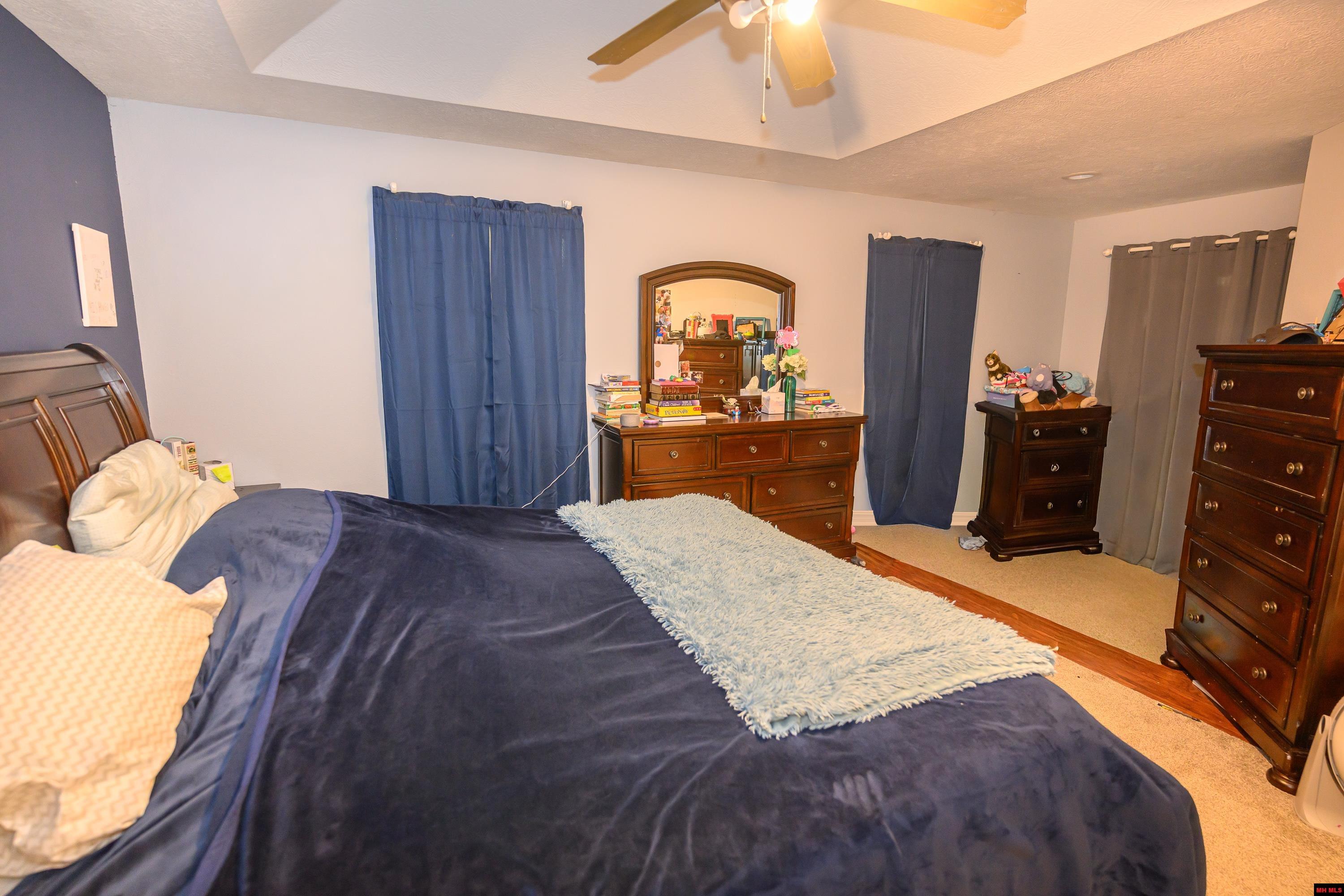 238 MAGNESS DRIVE Gassville, AR 72635