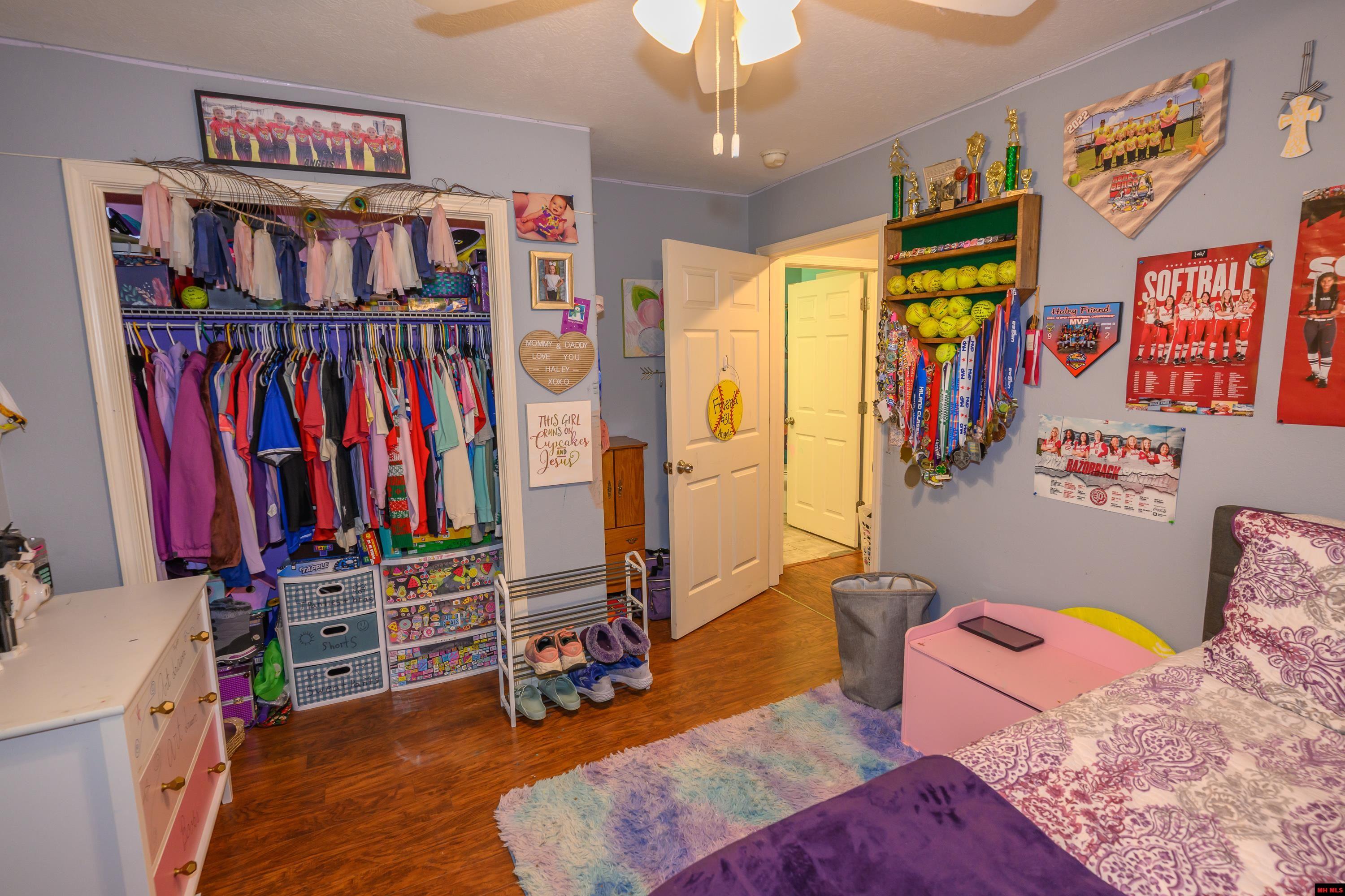 238 MAGNESS DRIVE Gassville, AR 72635