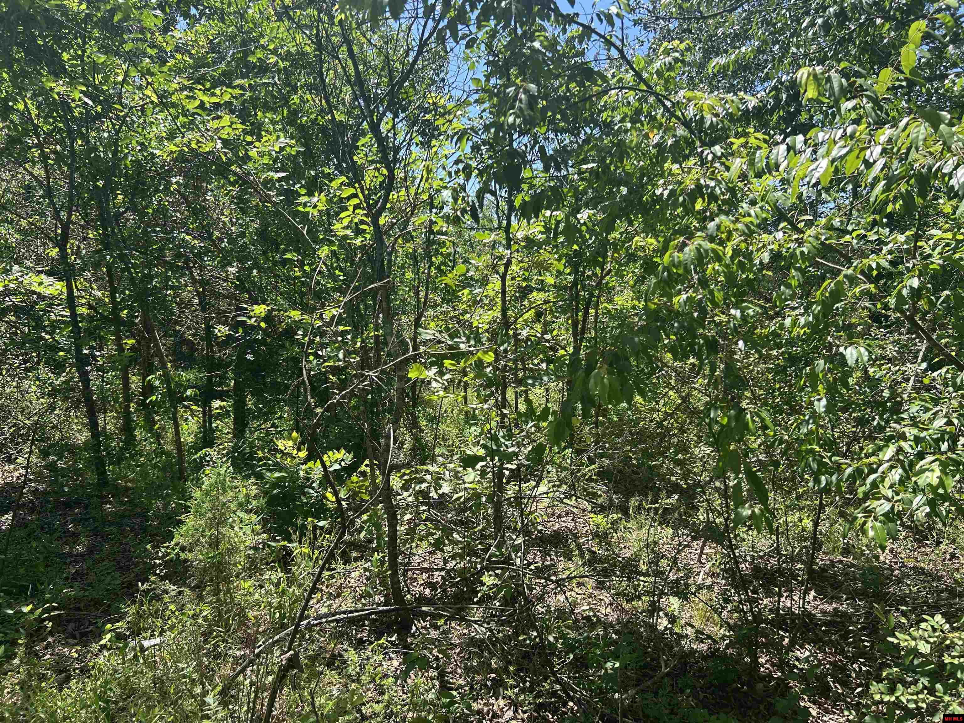 002-02617-000 CR 577 Mountain Home, AR