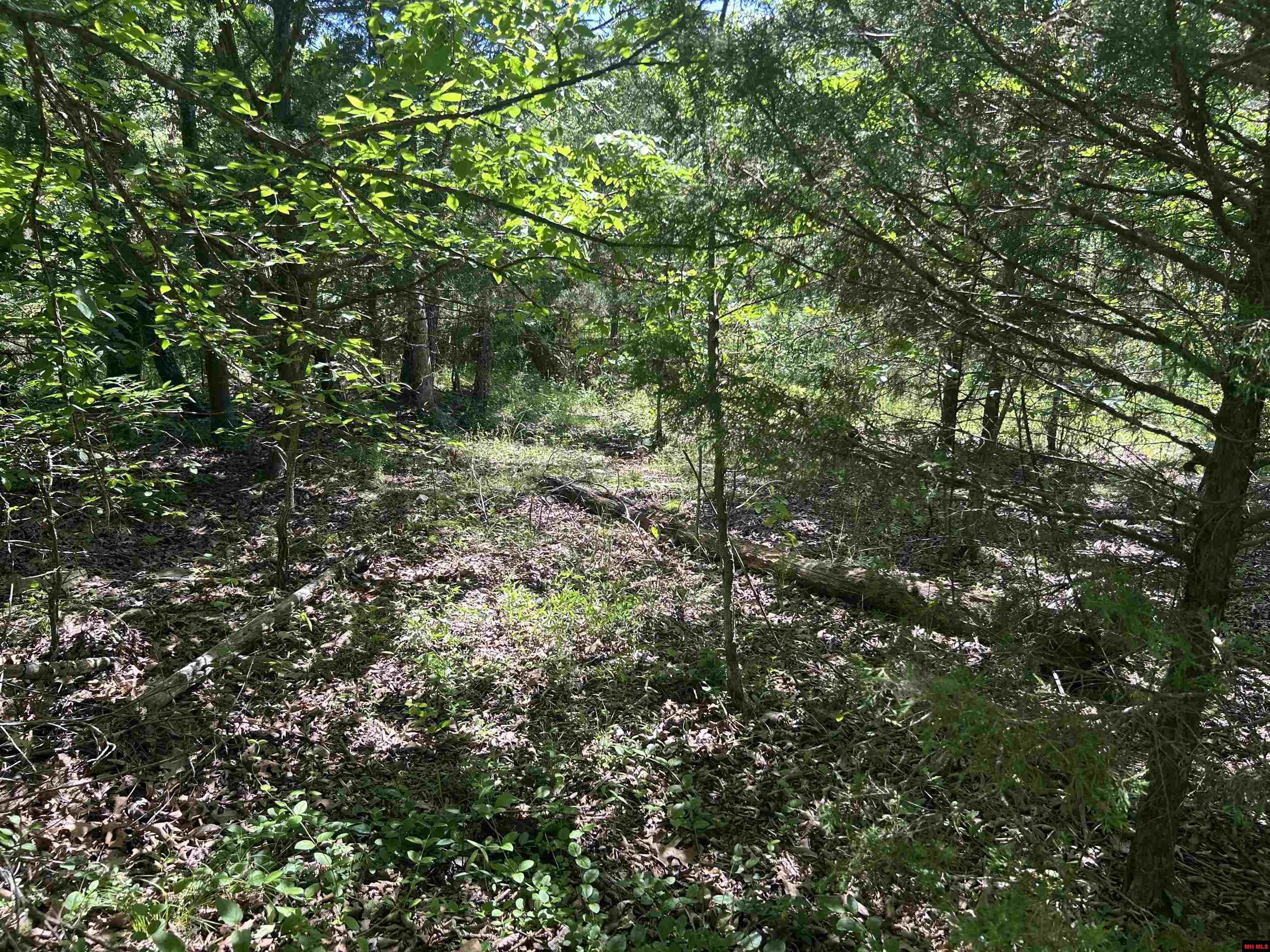 002-02617-000 CR 577 Mountain Home, AR