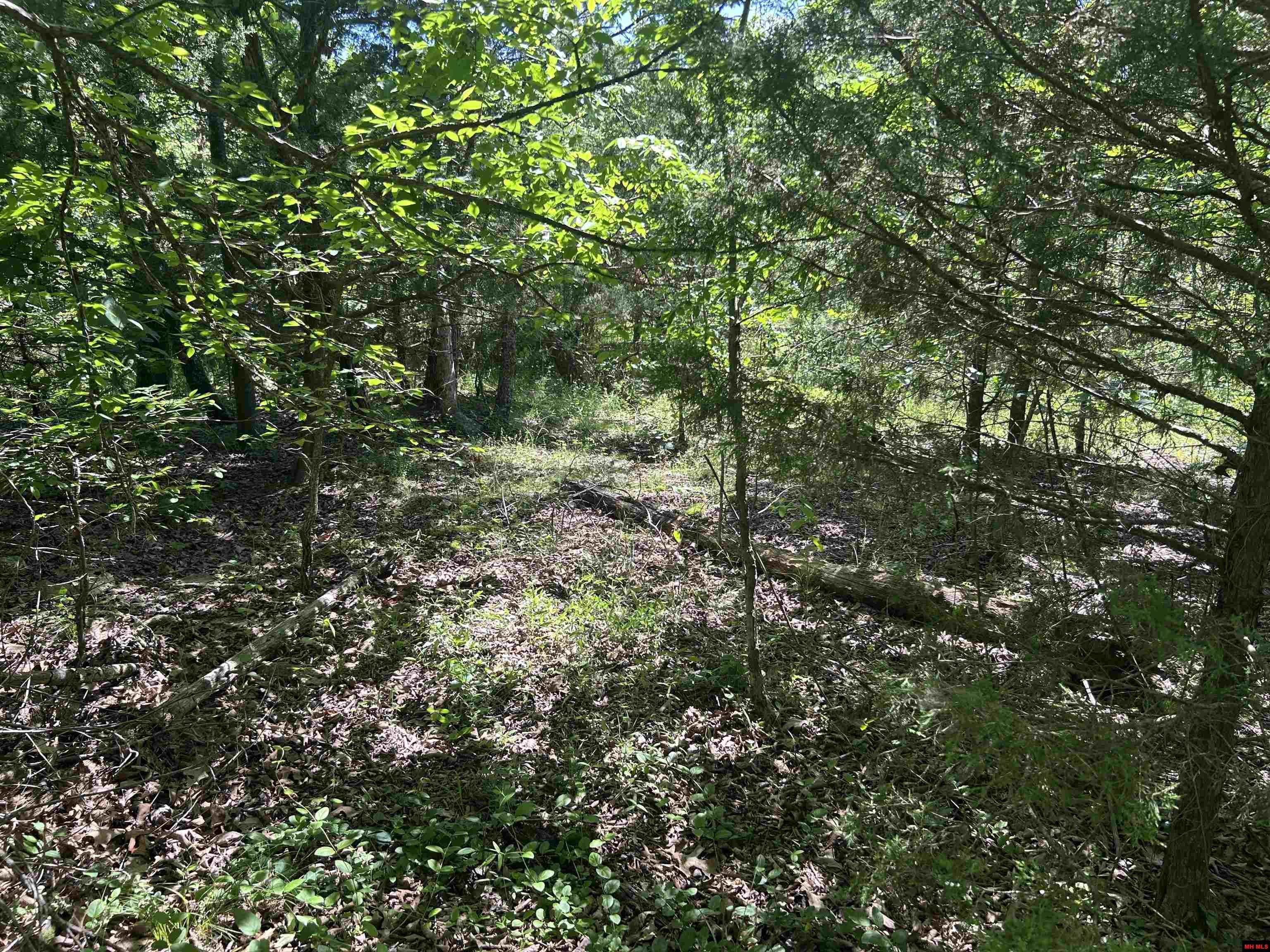 002-02617-000 CR 577 Mountain Home, AR