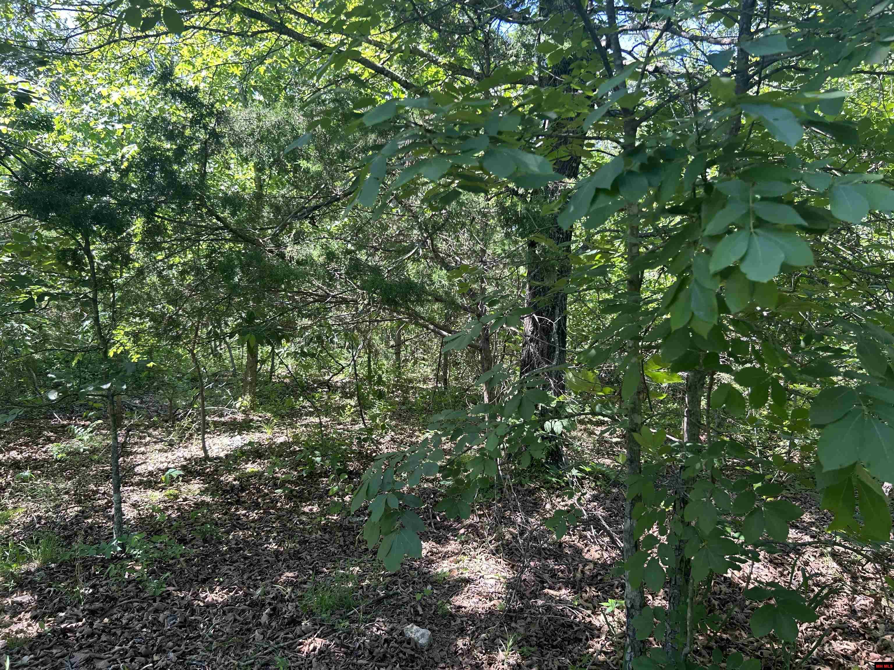 002-02617-000 CR 577 Mountain Home, AR