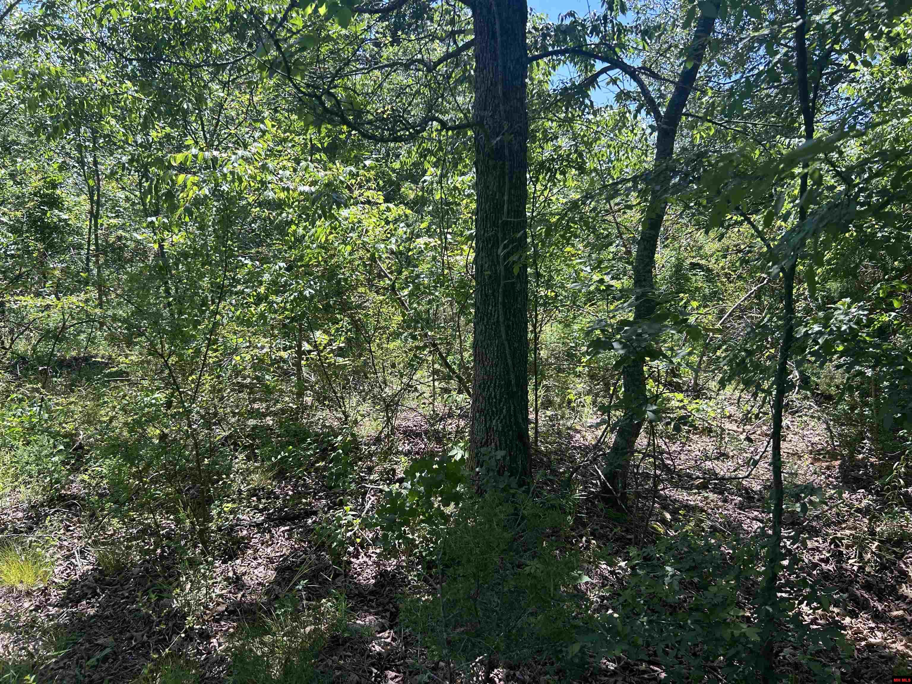 002-02617-000 CR 577 Mountain Home, AR