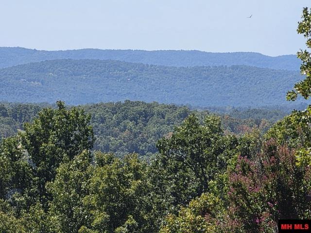 175 OAK SUMMIT DRIVE Mountain Home, AR