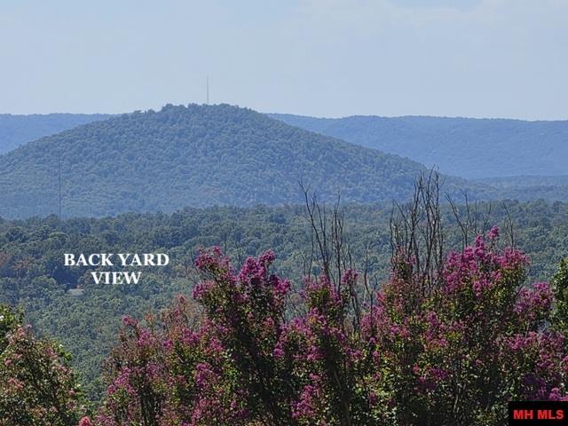 175 OAK SUMMIT DRIVE Mountain Home, AR