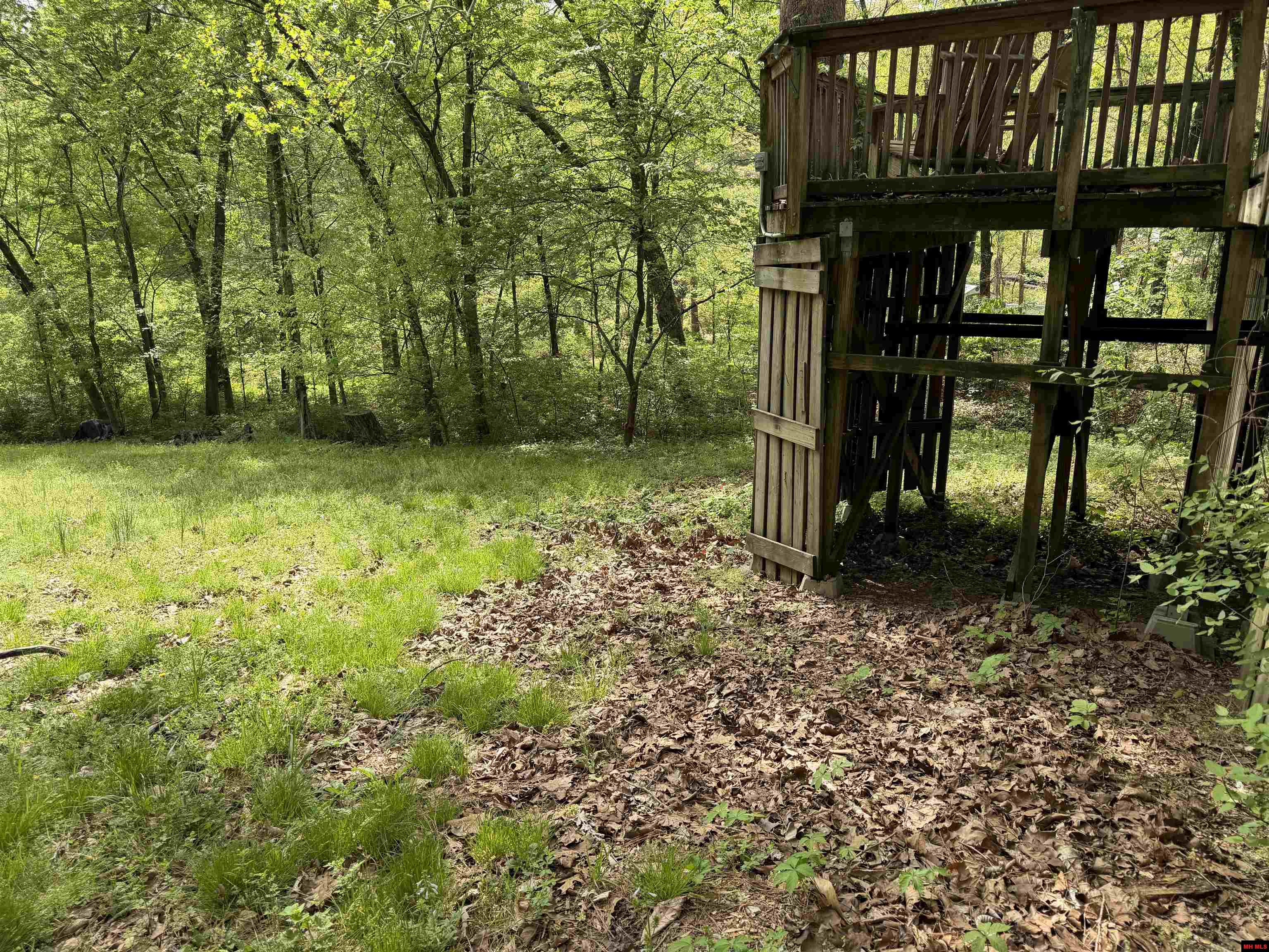 45 MONONGAHELA DRIVE Cherokee Village, AR