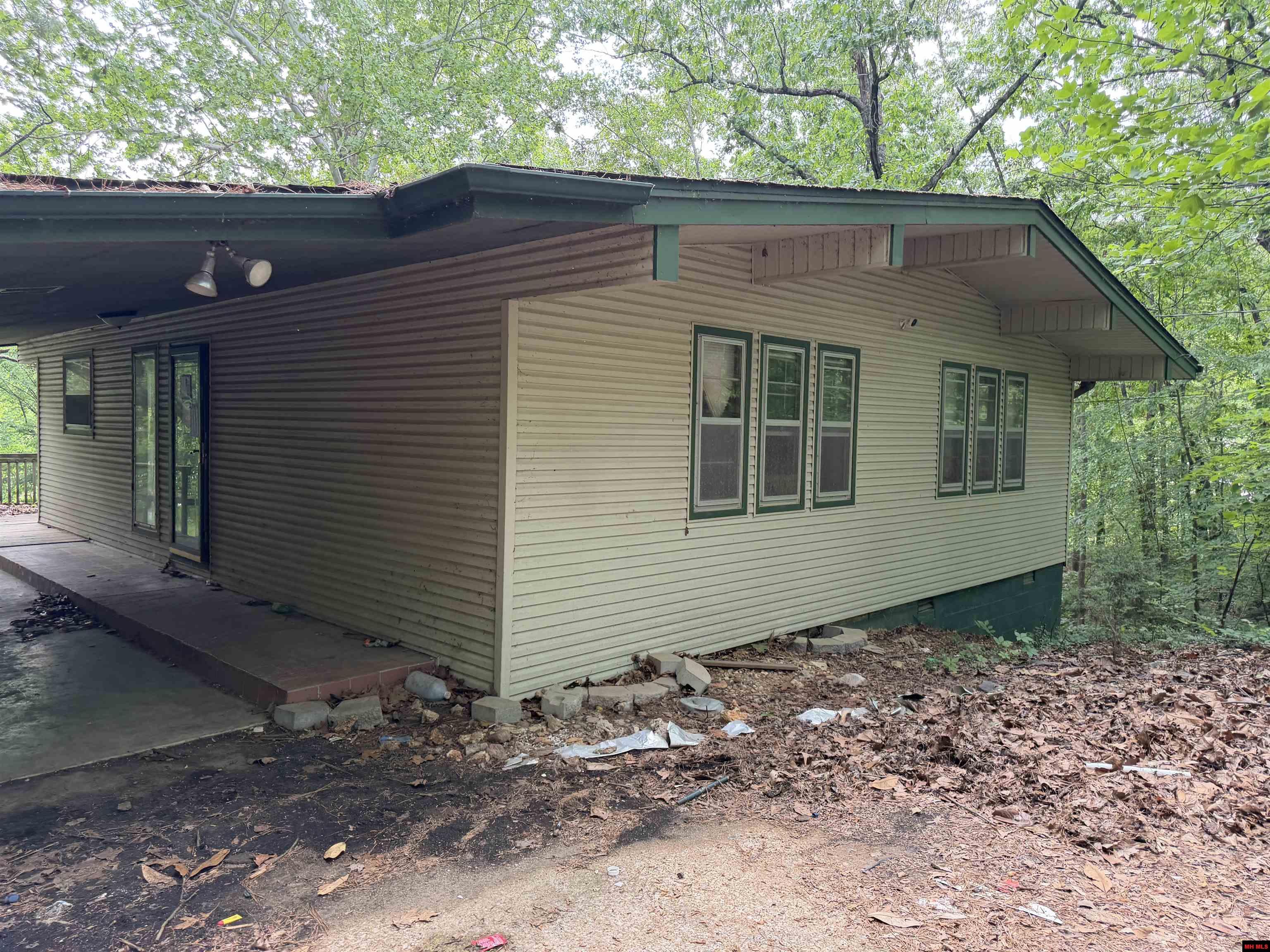 45 MONONGAHELA DRIVE Cherokee Village, AR