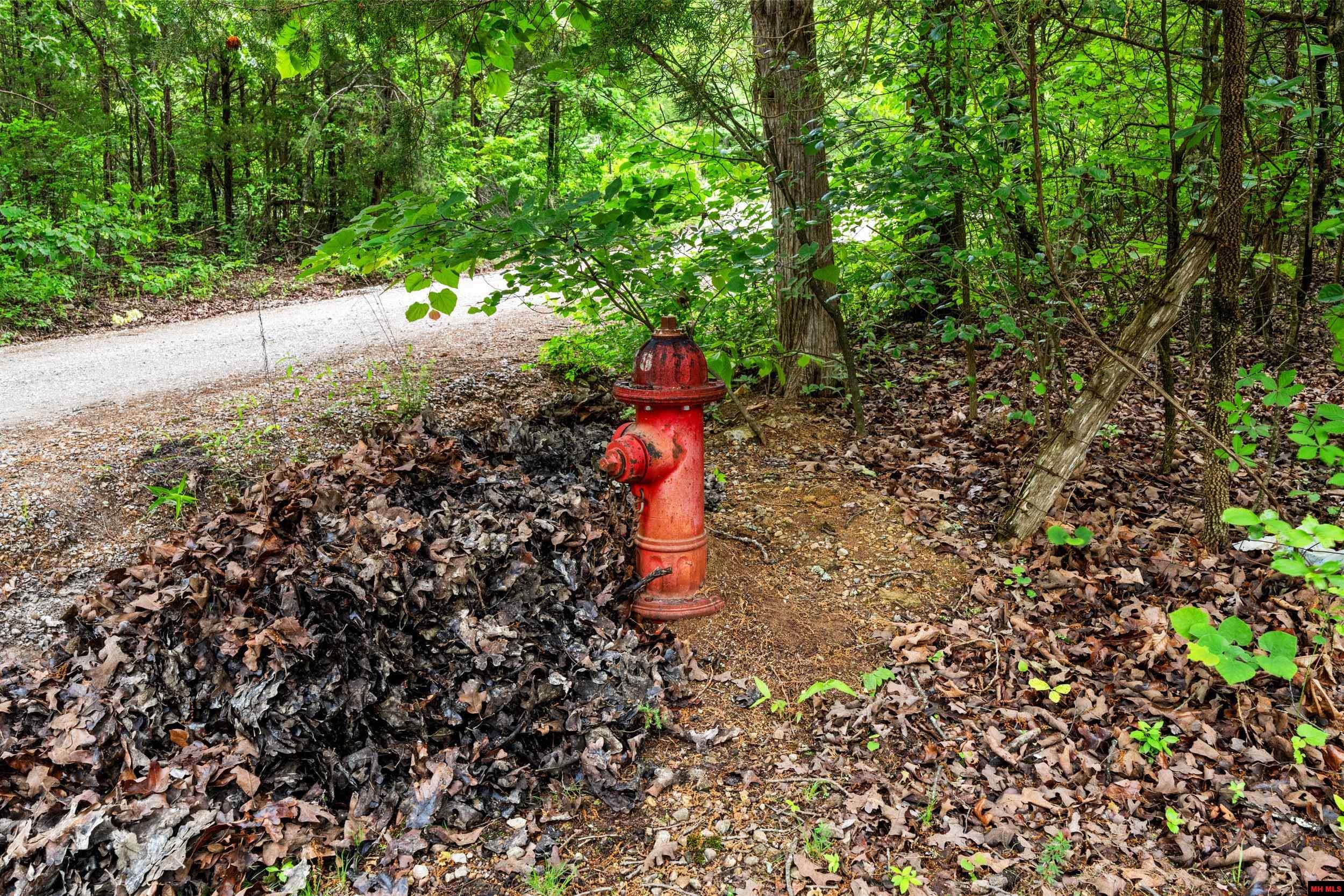 409 CR 916 Mountain Home, AR
