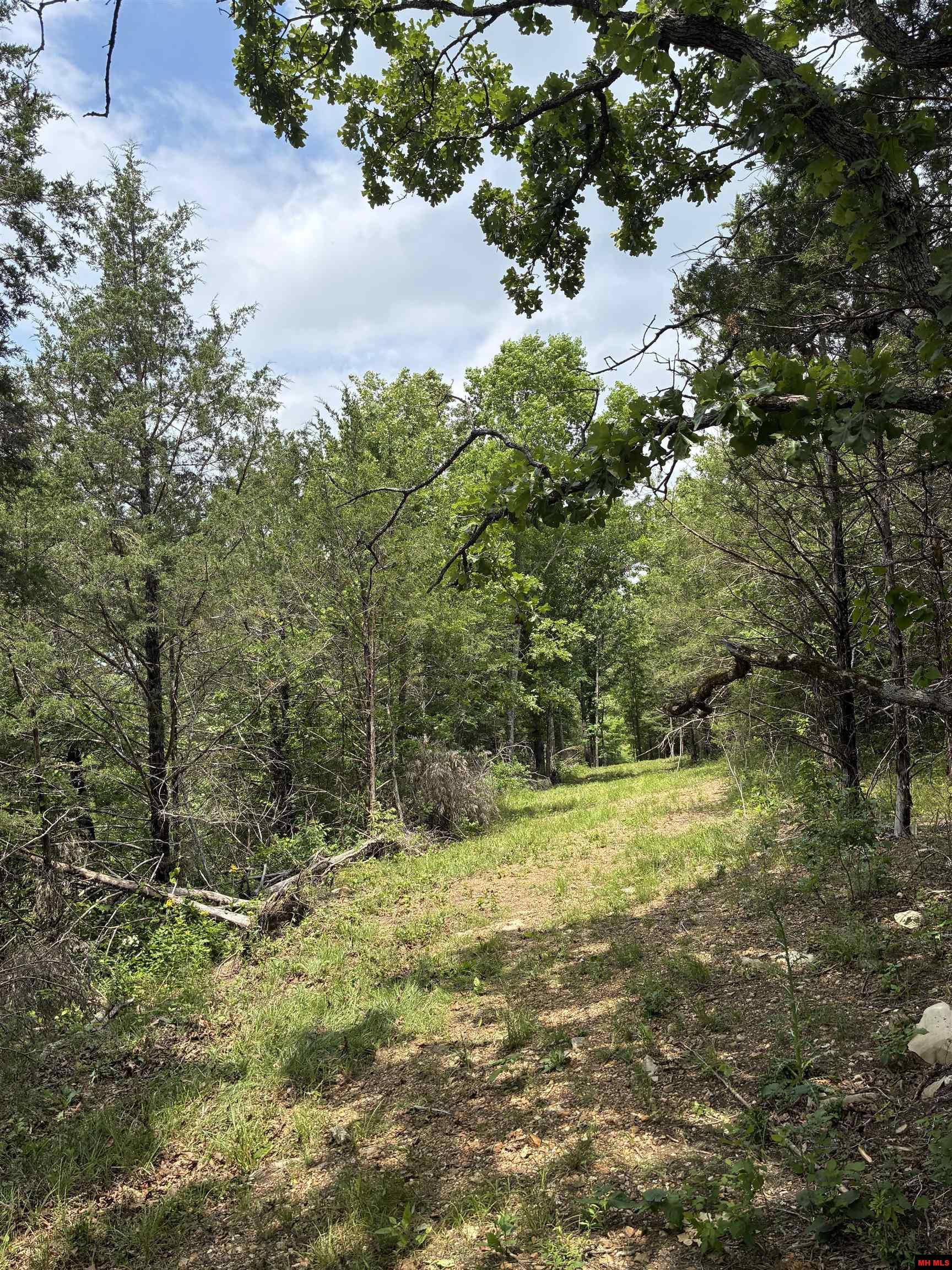 3044 Buford Cutoff