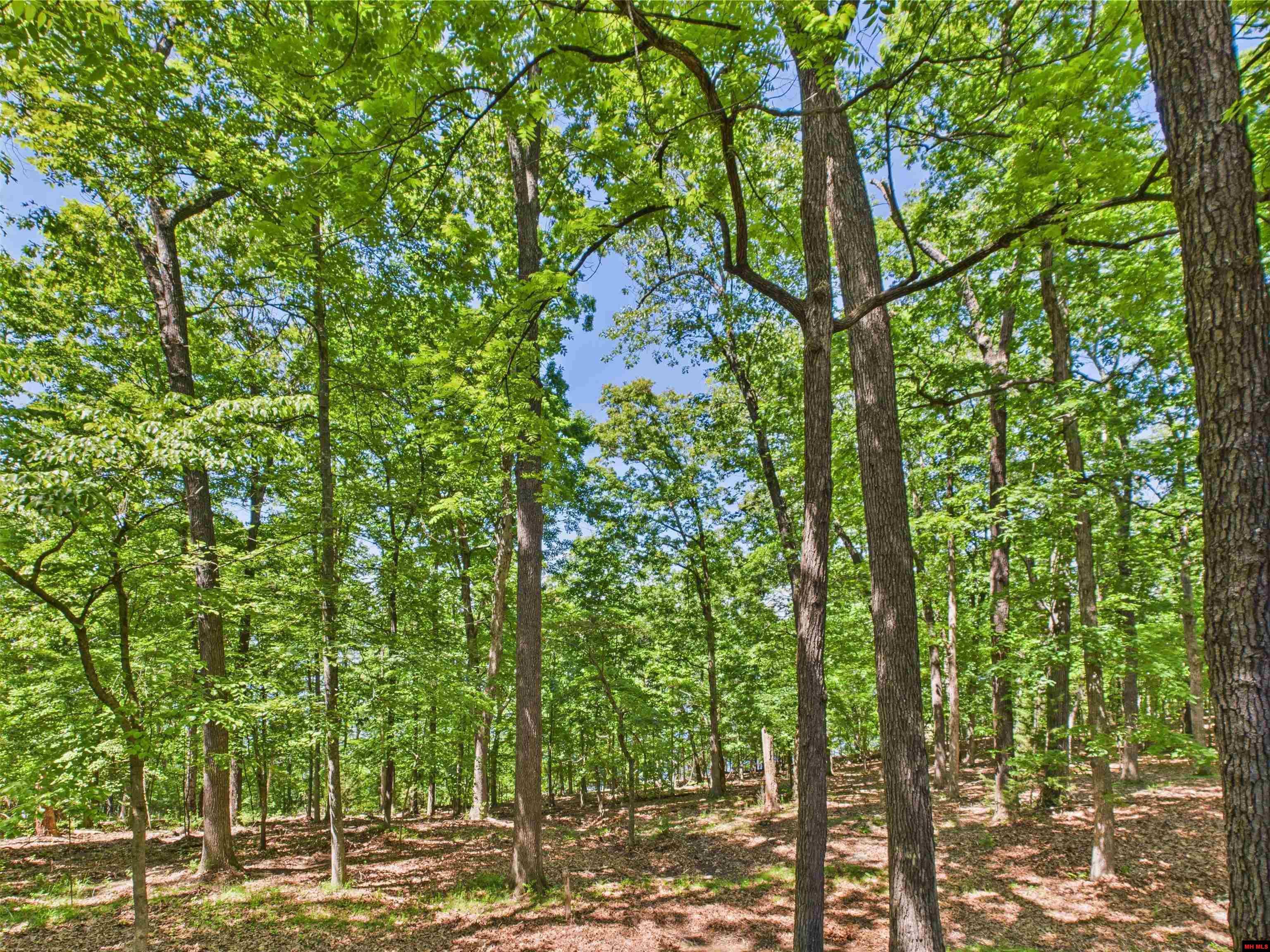 141 Walden Lane