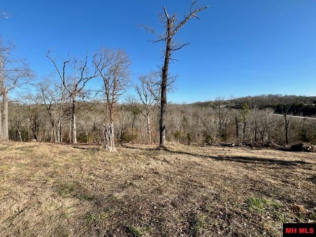 5714 OLD ARKANA ROAD Mountain Home, AR