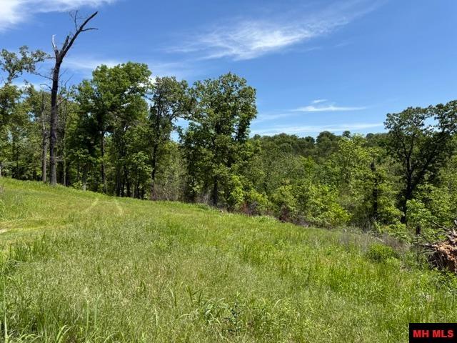 5714 OLD ARKANA ROAD Mountain Home, AR