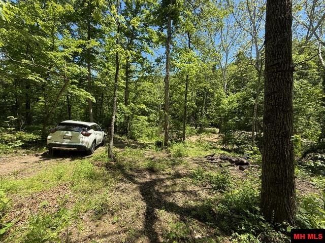 5714 OLD ARKANA ROAD Mountain Home, AR