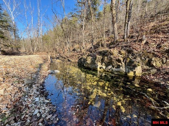 5714 OLD ARKANA ROAD Mountain Home, AR