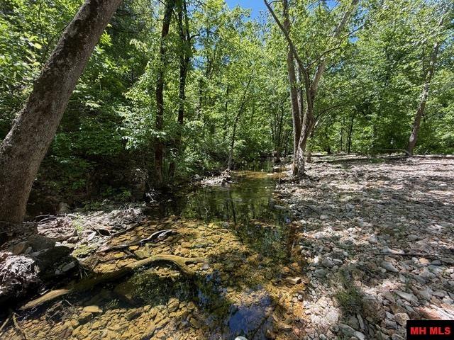 5714 OLD ARKANA ROAD Mountain Home, AR
