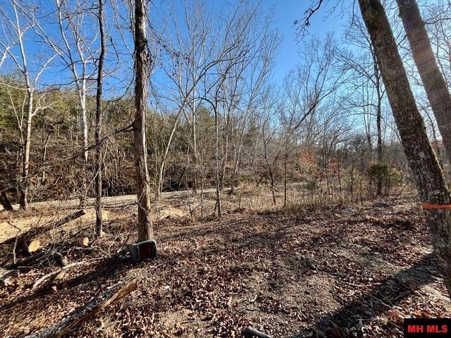 5714 OLD ARKANA ROAD Mountain Home, AR