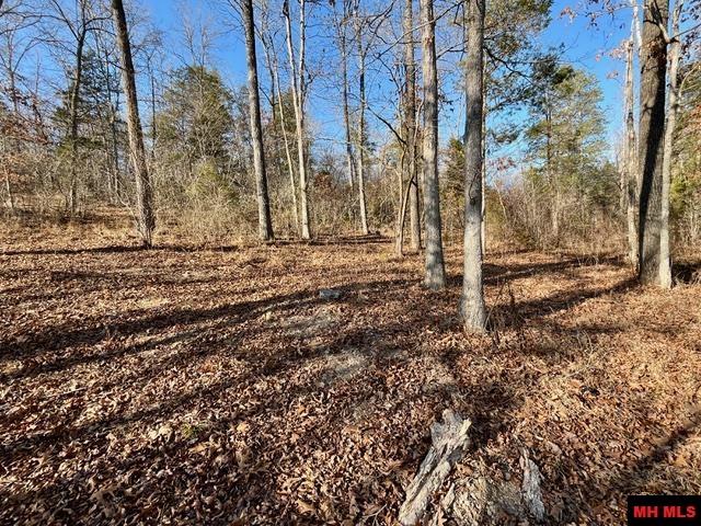 5714 OLD ARKANA ROAD Mountain Home, AR