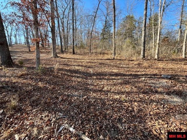 5714 OLD ARKANA ROAD Mountain Home, AR