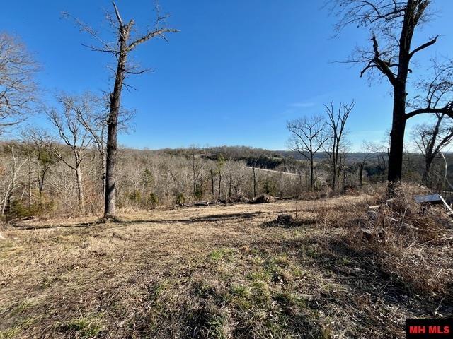5714 OLD ARKANA ROAD Mountain Home, AR