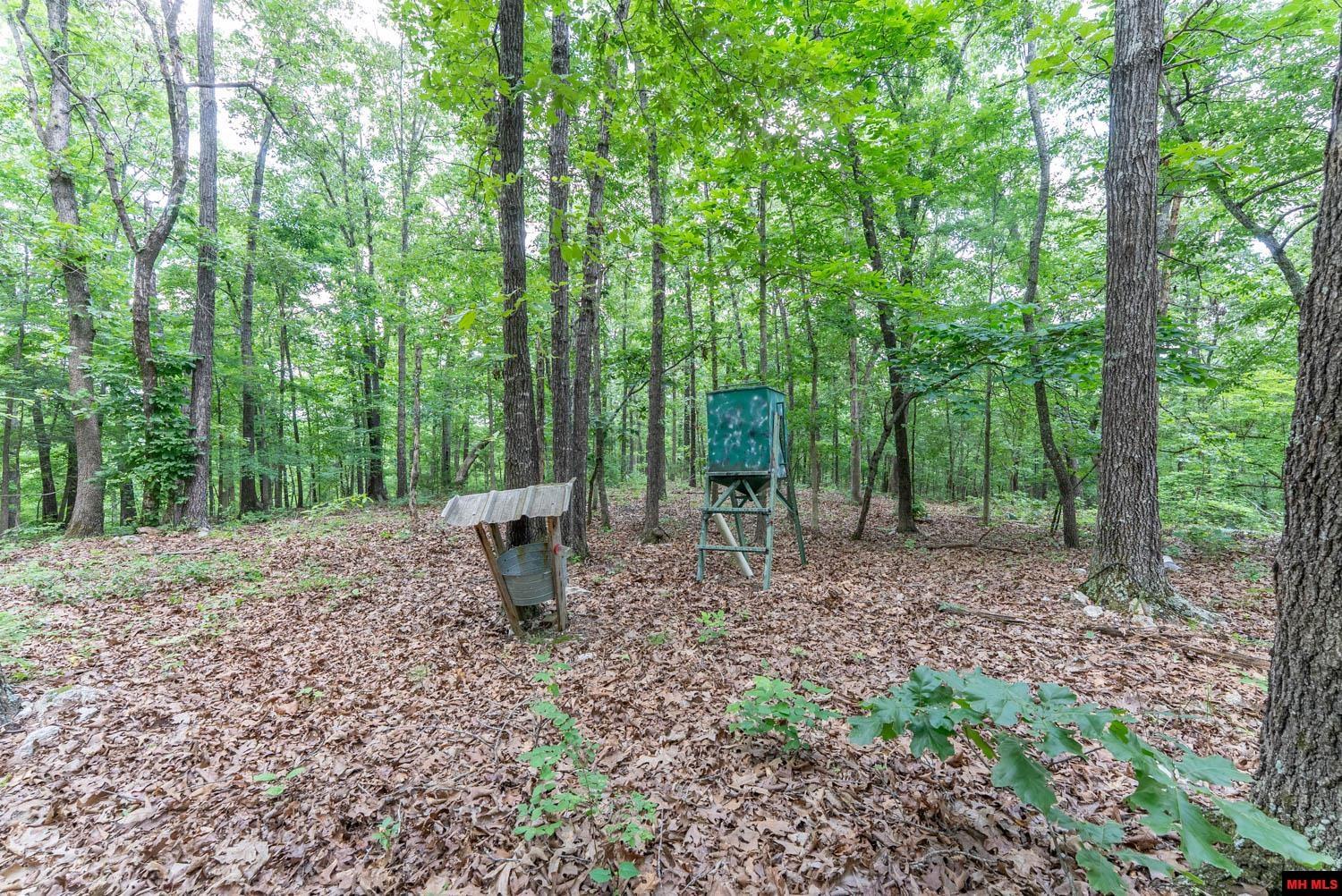 17 MARY DRIVE Hardy, AR
