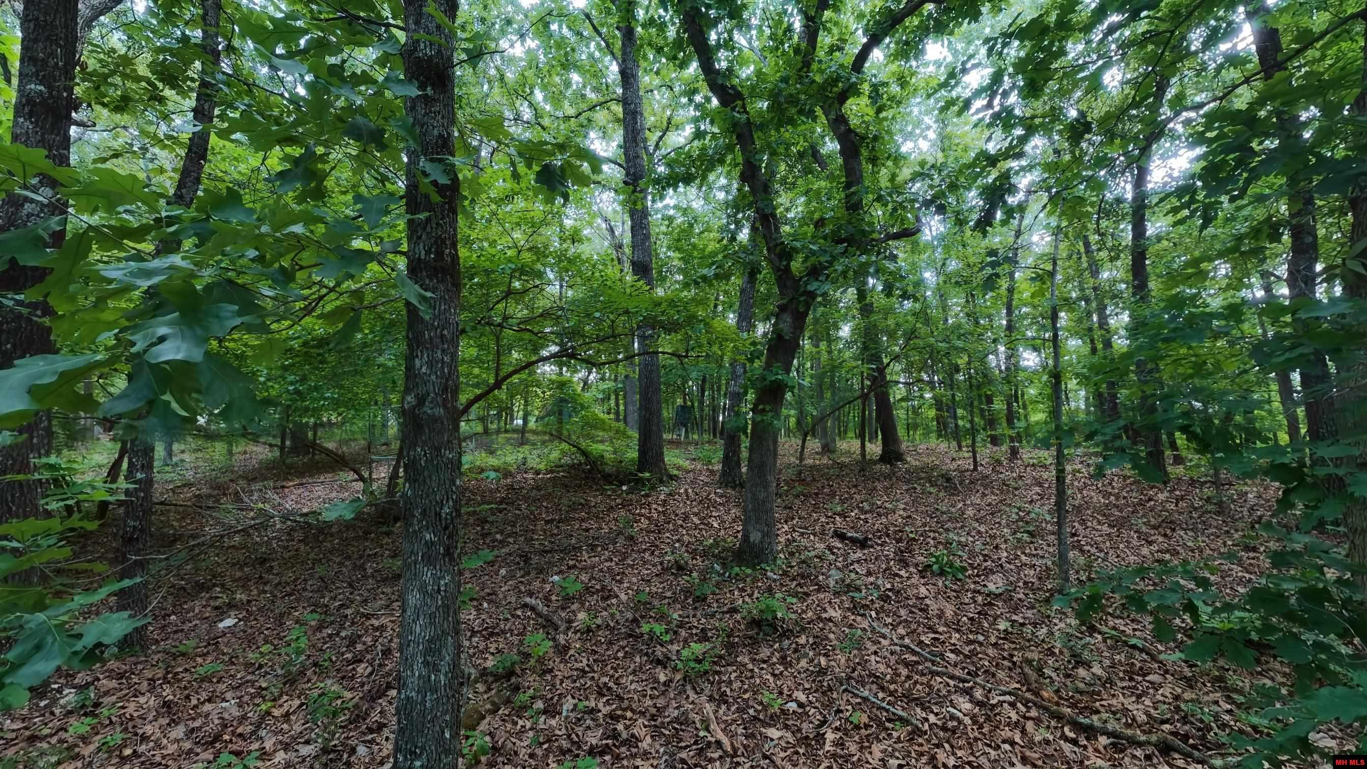 17 MARY DRIVE Hardy, AR