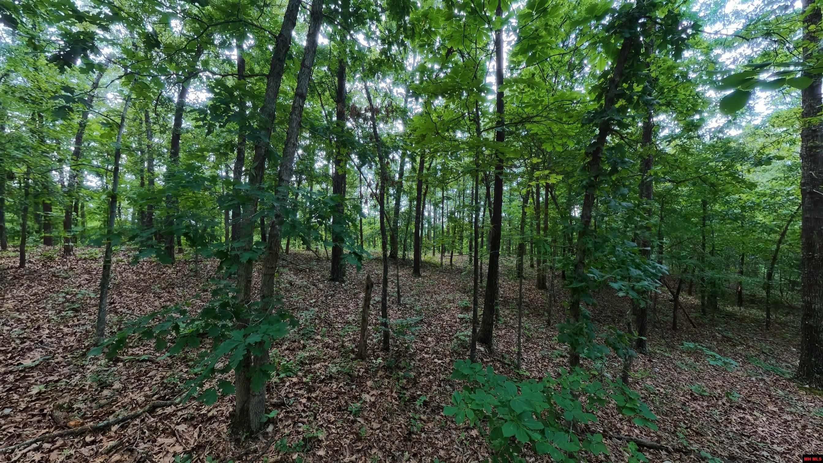17 MARY DRIVE Hardy, AR