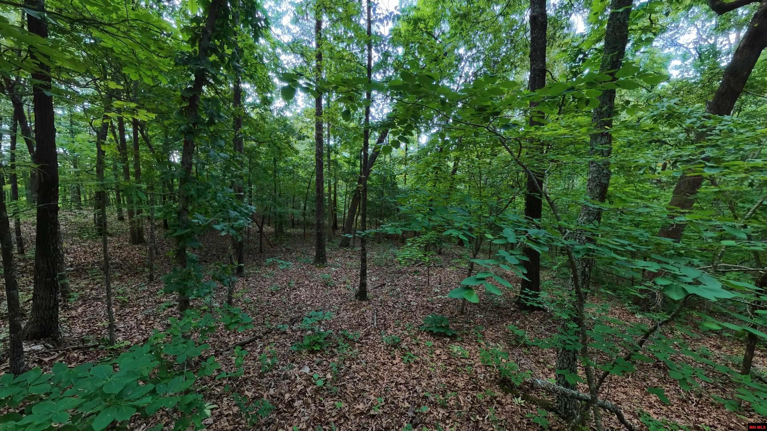 17 MARY DRIVE Hardy, AR