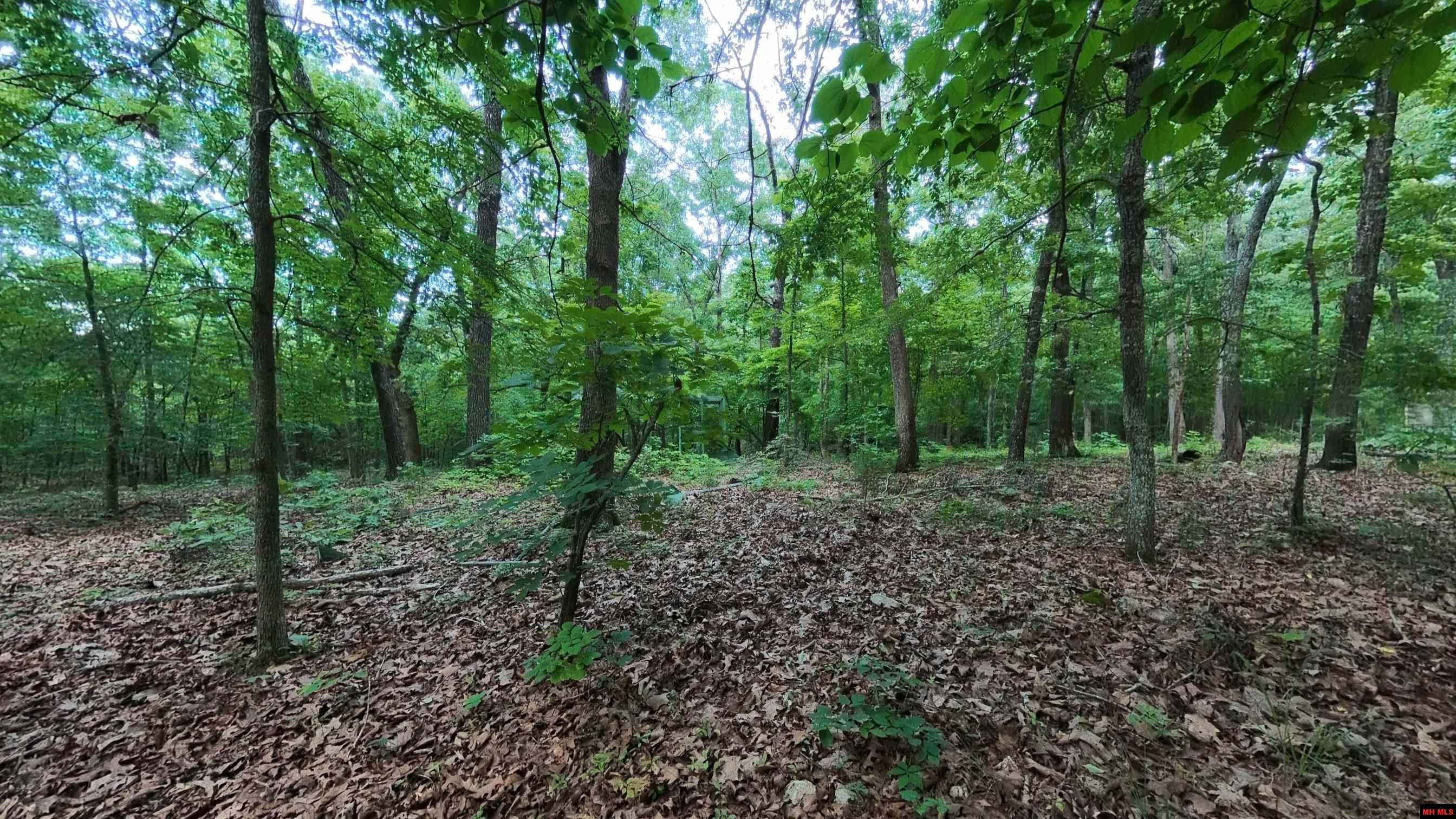 17 MARY DRIVE Hardy, AR