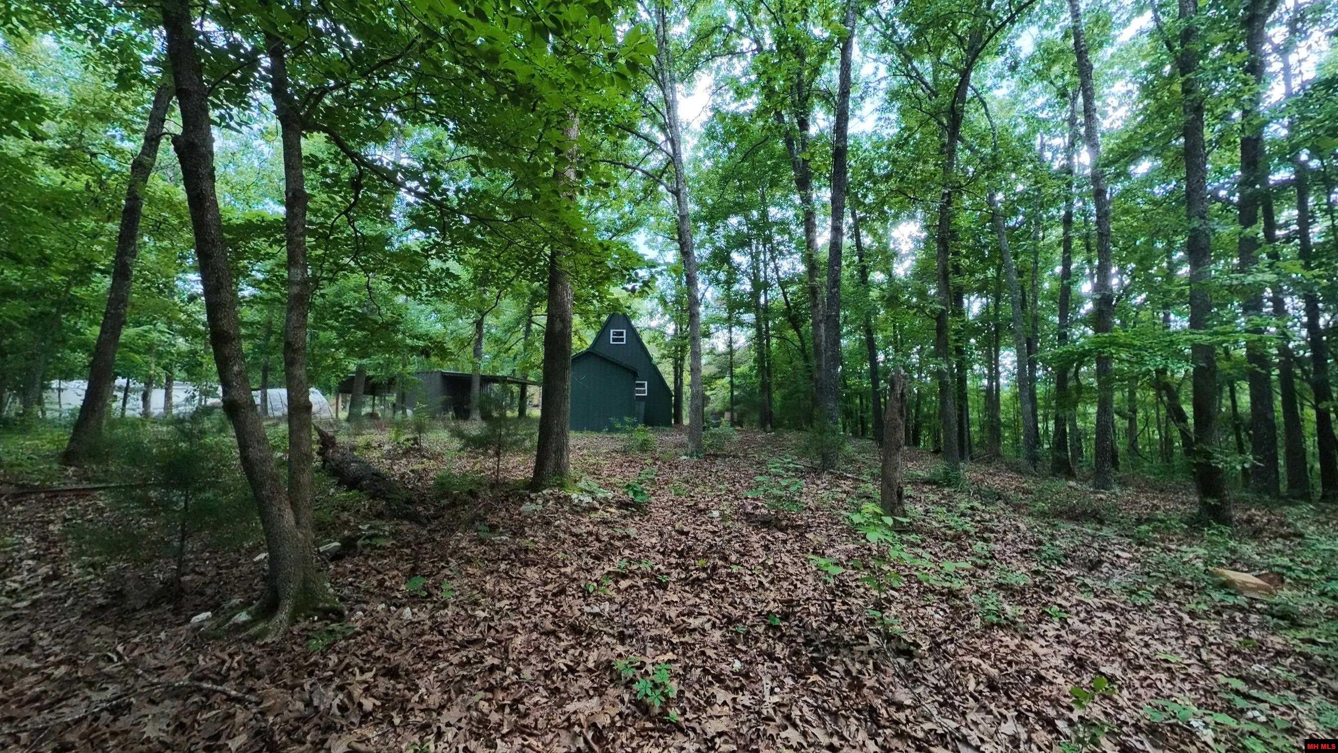 17 MARY DRIVE Hardy, AR