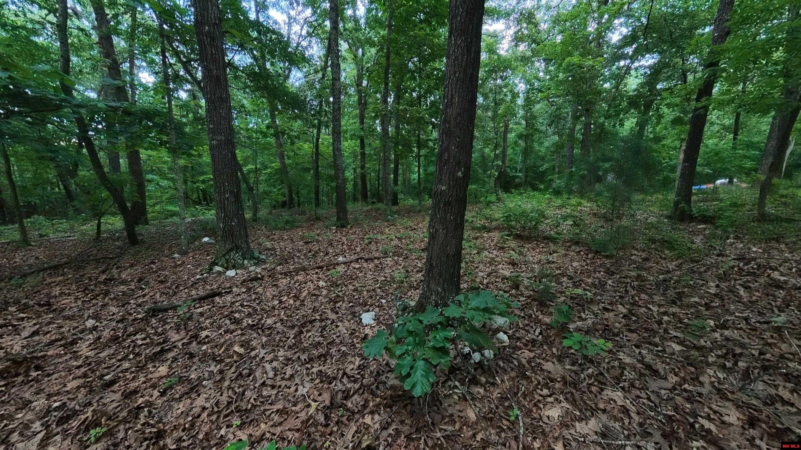 17 MARY DRIVE Hardy, AR