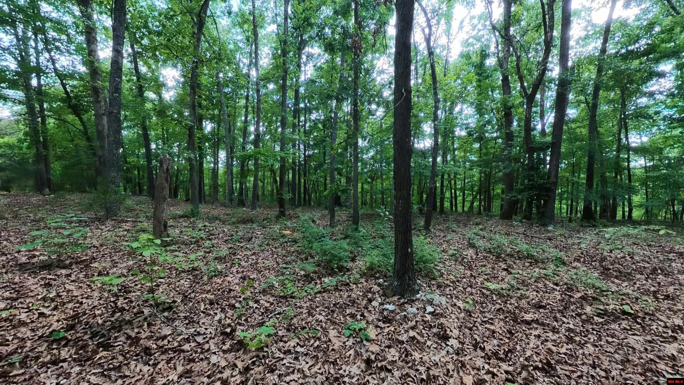 17 MARY DRIVE Hardy, AR