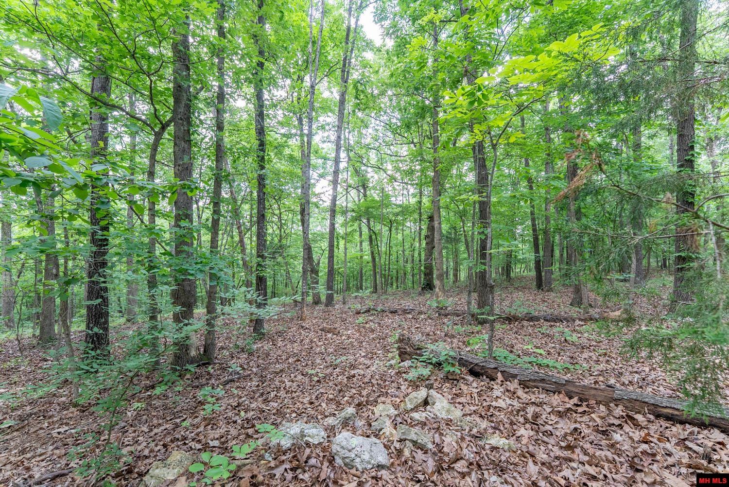 17 MARY DRIVE Hardy, AR