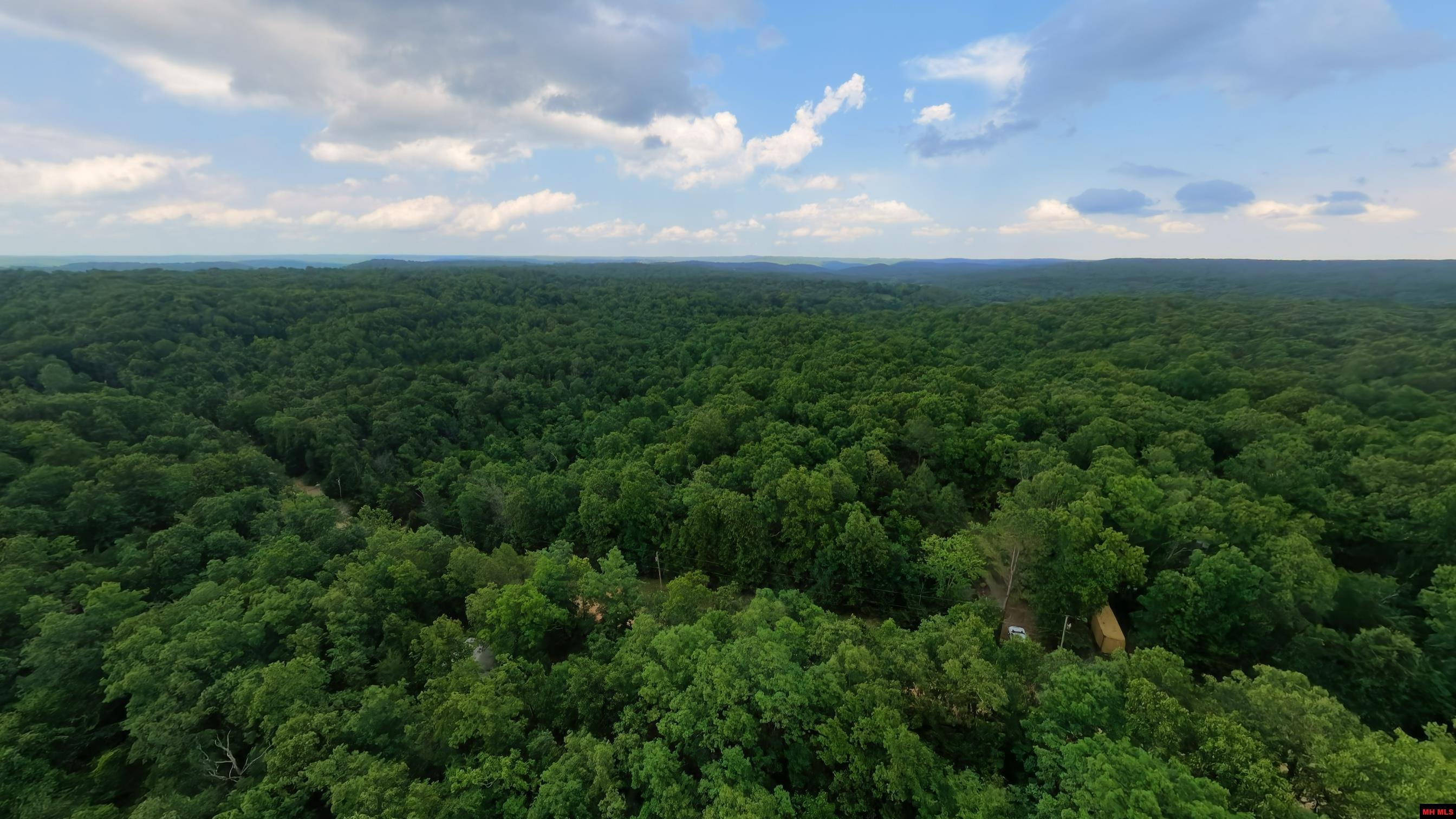 17 MARY DRIVE Hardy, AR