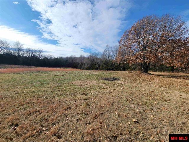 331 WYANDOTTE DRIVE Gainesville, MO