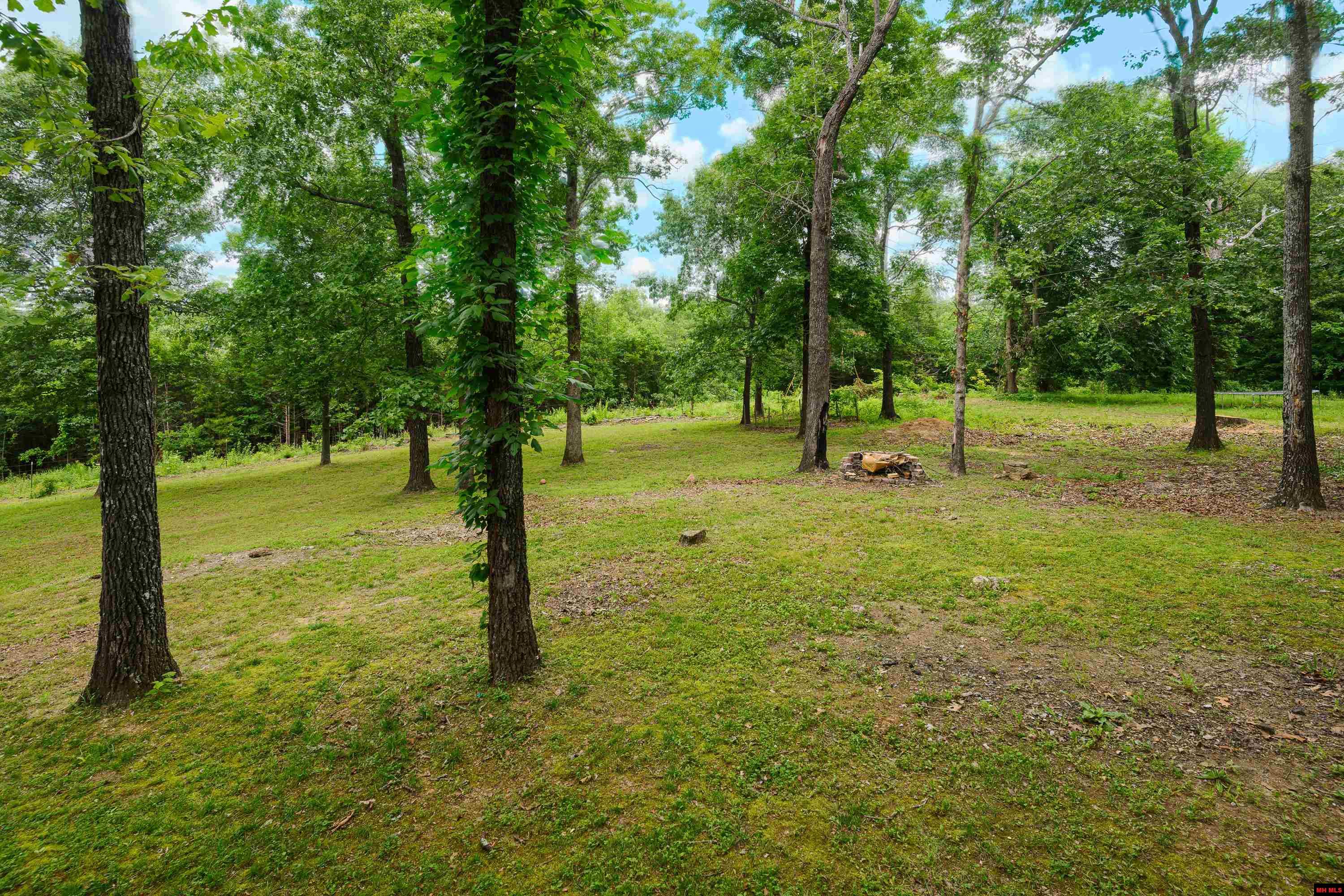 226 DEER PARK LOOP Mountain Home, AR