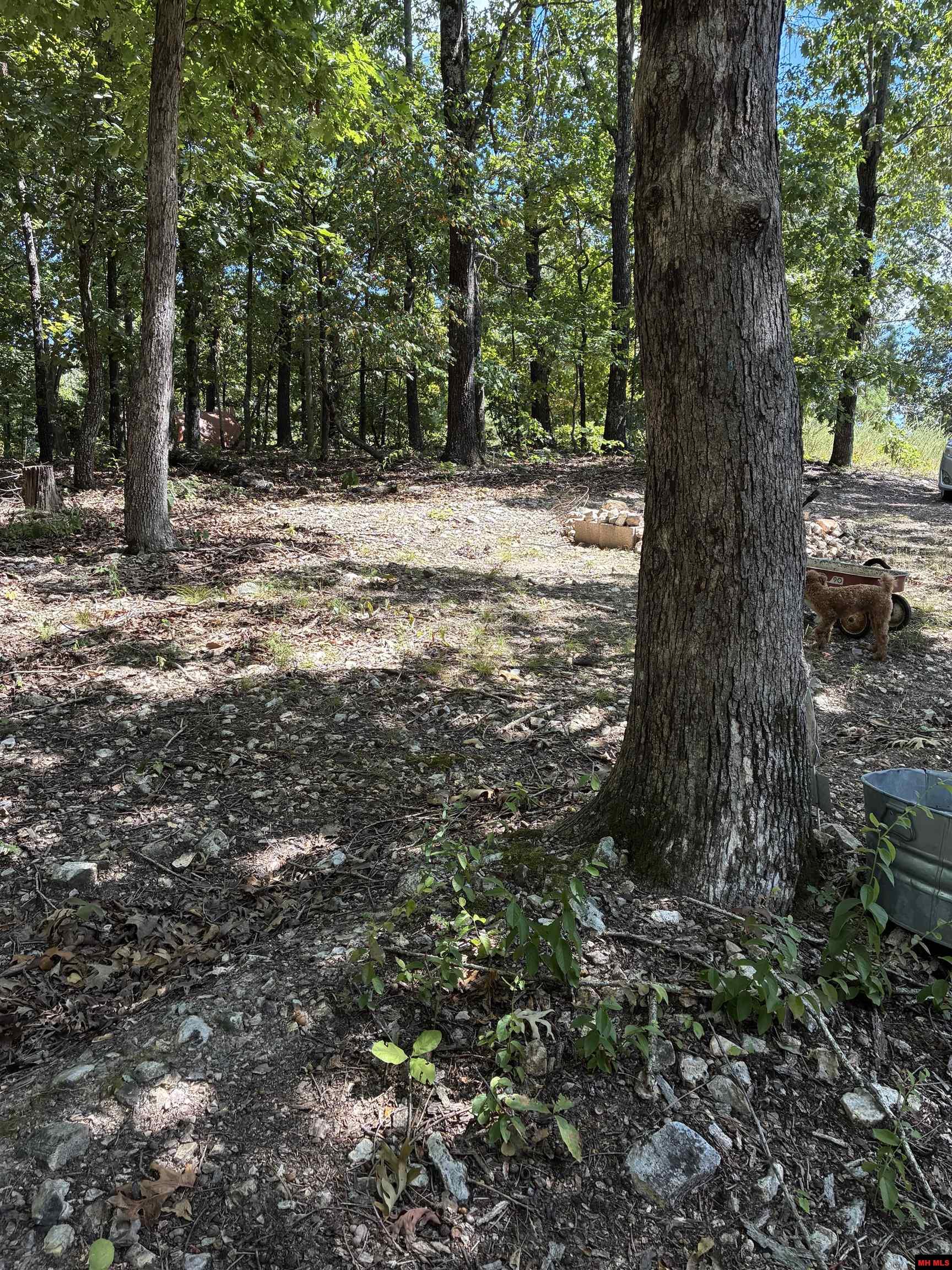 2662 MC 8050 Yellville, AR