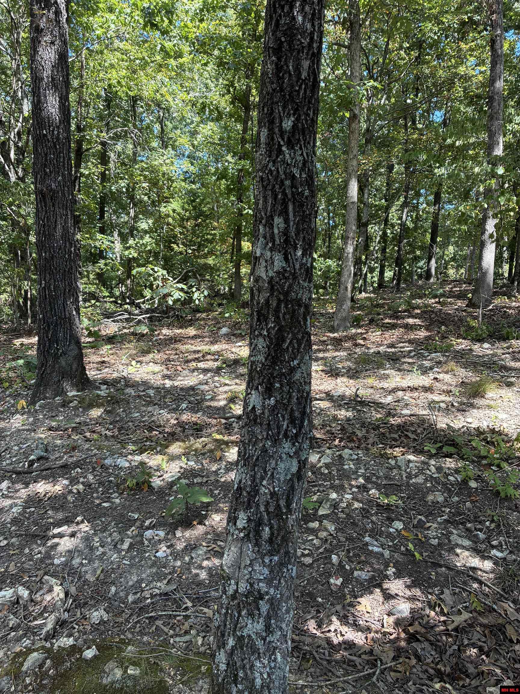 2662 MC 8050 Yellville, AR