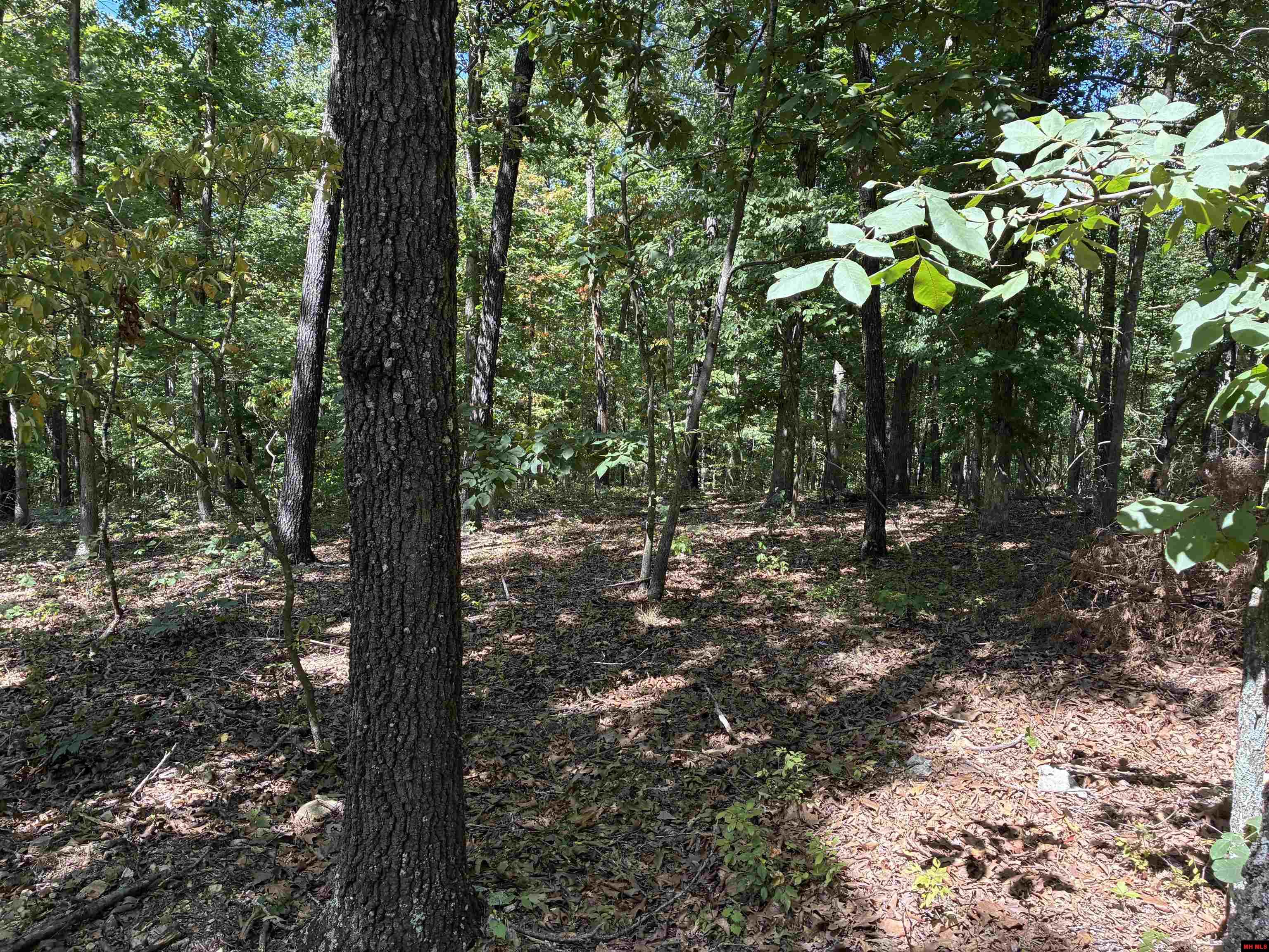 2662 MC 8050 Yellville, AR