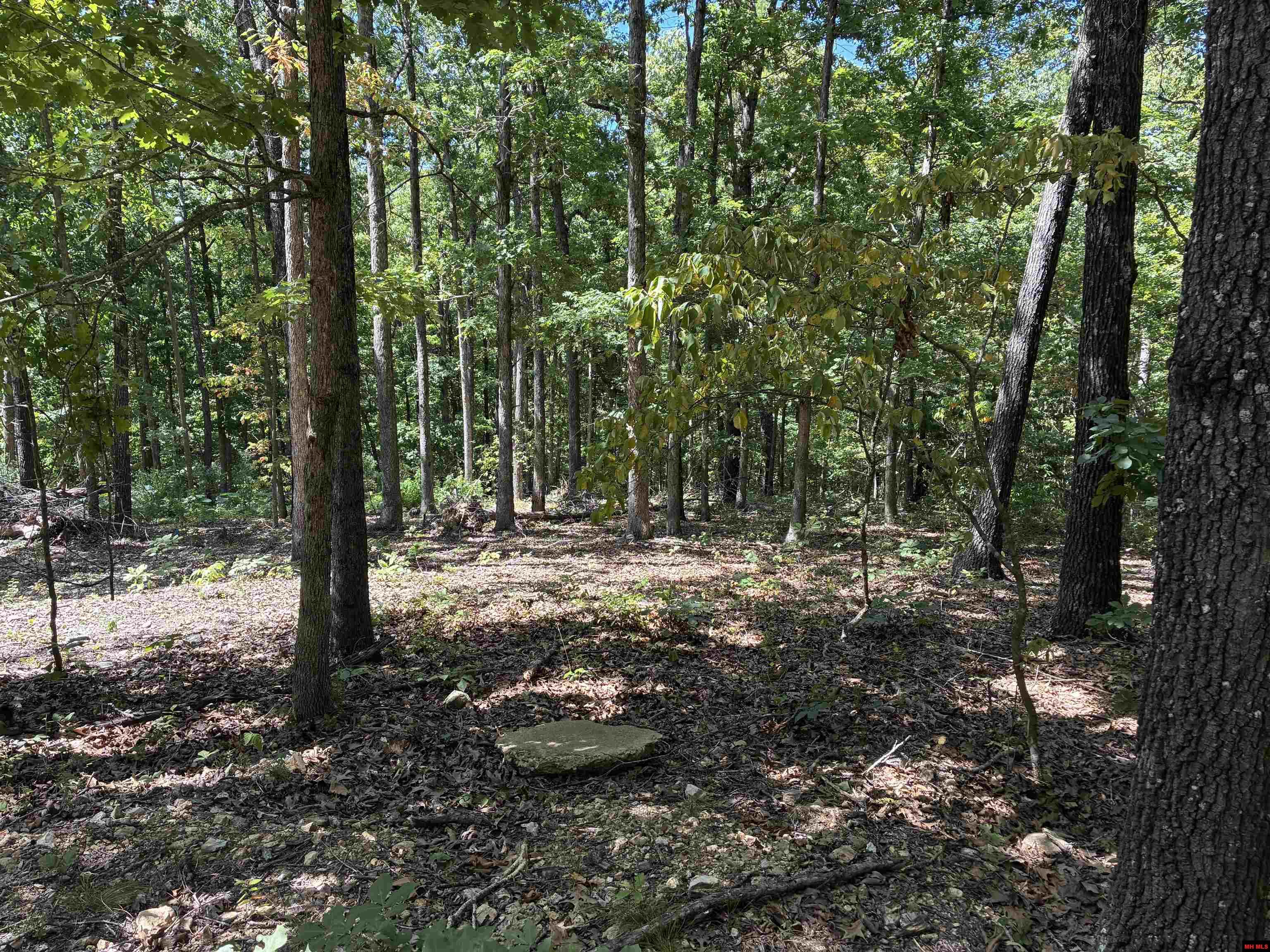 2662 MC 8050 Yellville, AR